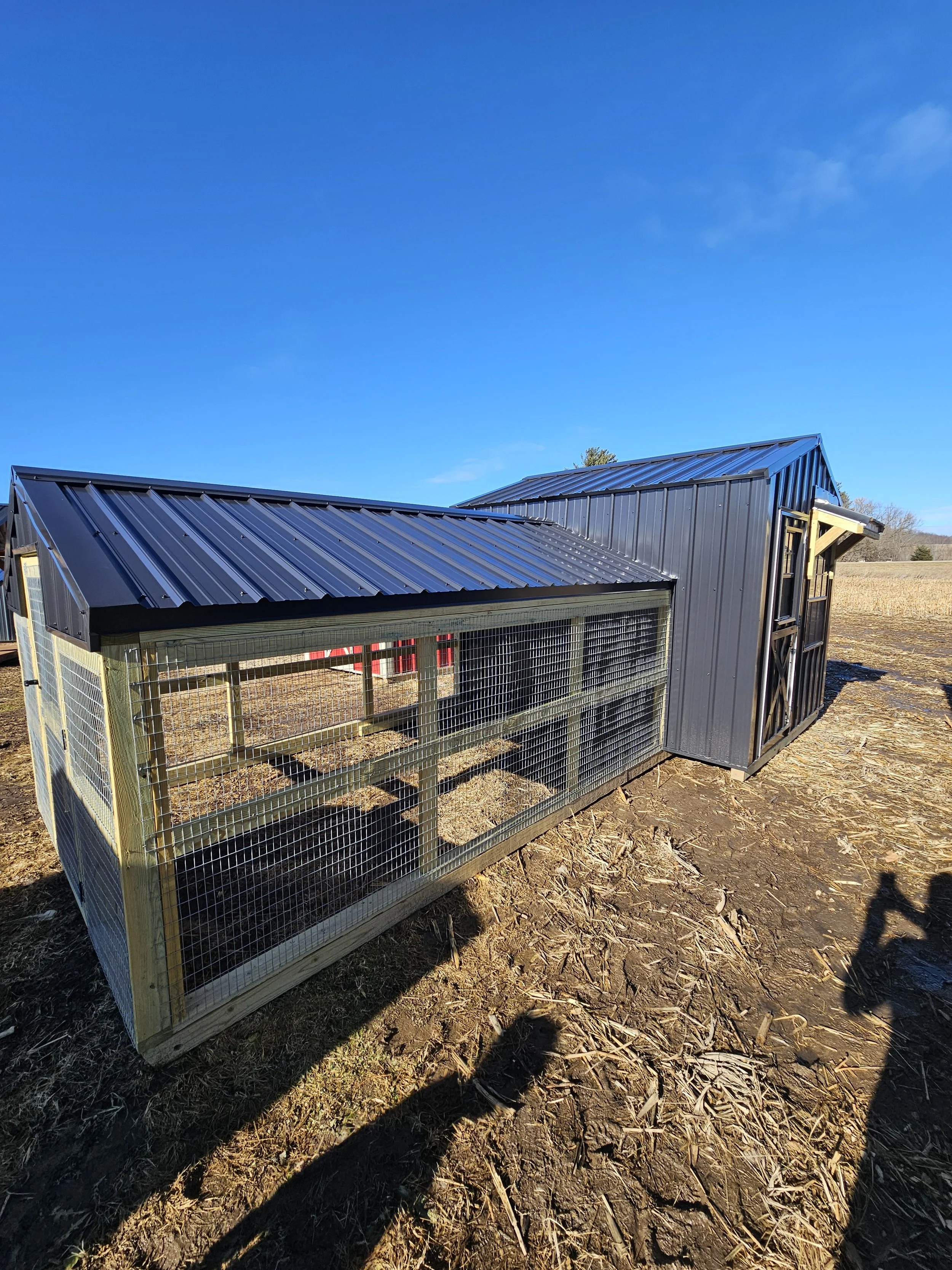 20260113_122948 (1).jpg