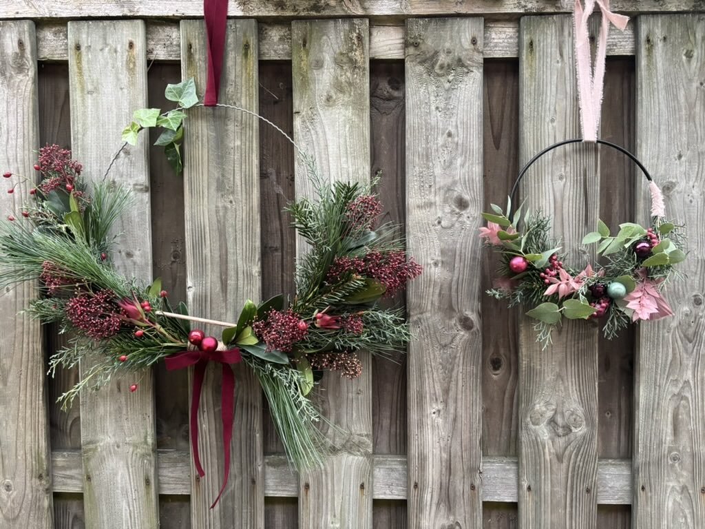zwei weihnachtskärnze gewickelt bis zu Hälfte und hängend an der Wand, bestehend aus Tanne, Skimmia, Kiefer, rosa Trockenblumen, rote Schleifen, kleine Weihnachtskugeln in grün, rosa, rot.