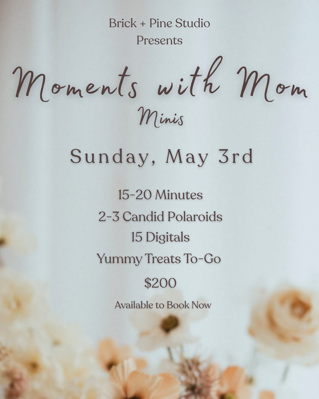 Moments with Mom - Mother's Day Mini Sessions!