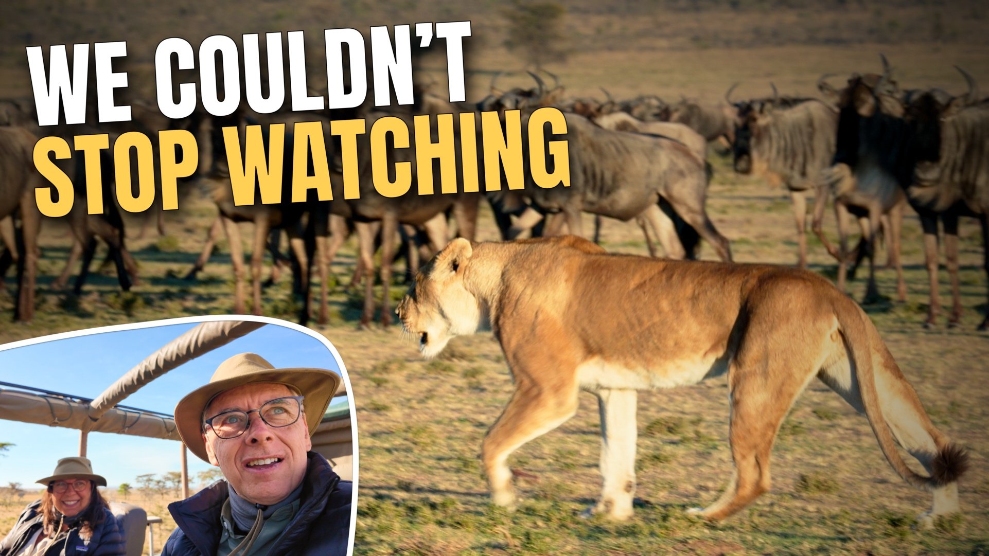 First Time on Safari: Expectation vs Reality