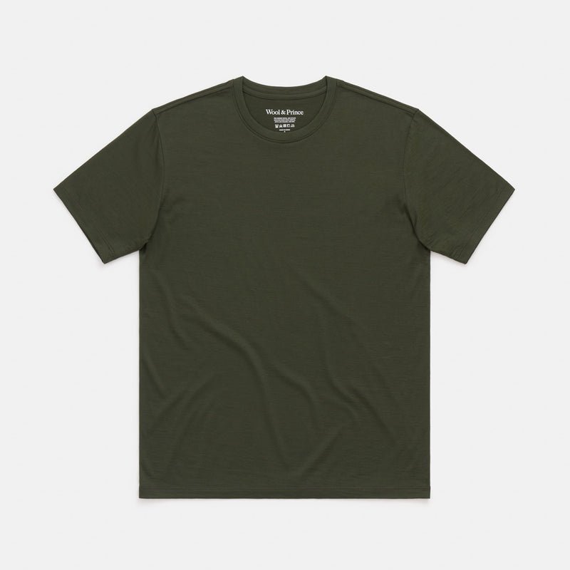 Merino Wool t-shirt.jpeg