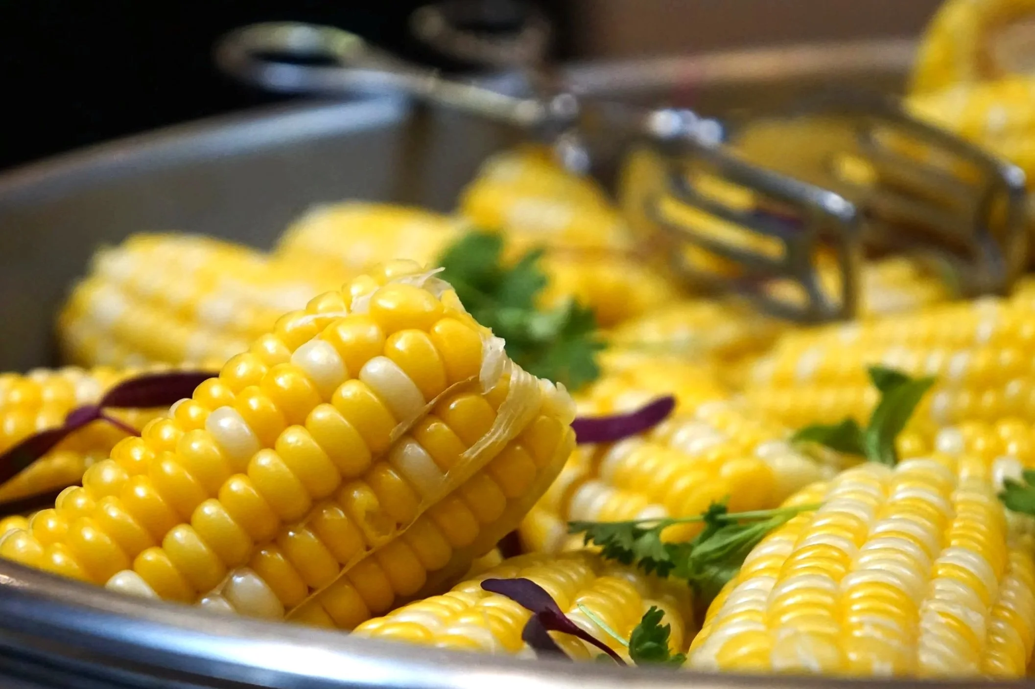 MA_CS_UDCatering-42.jpg