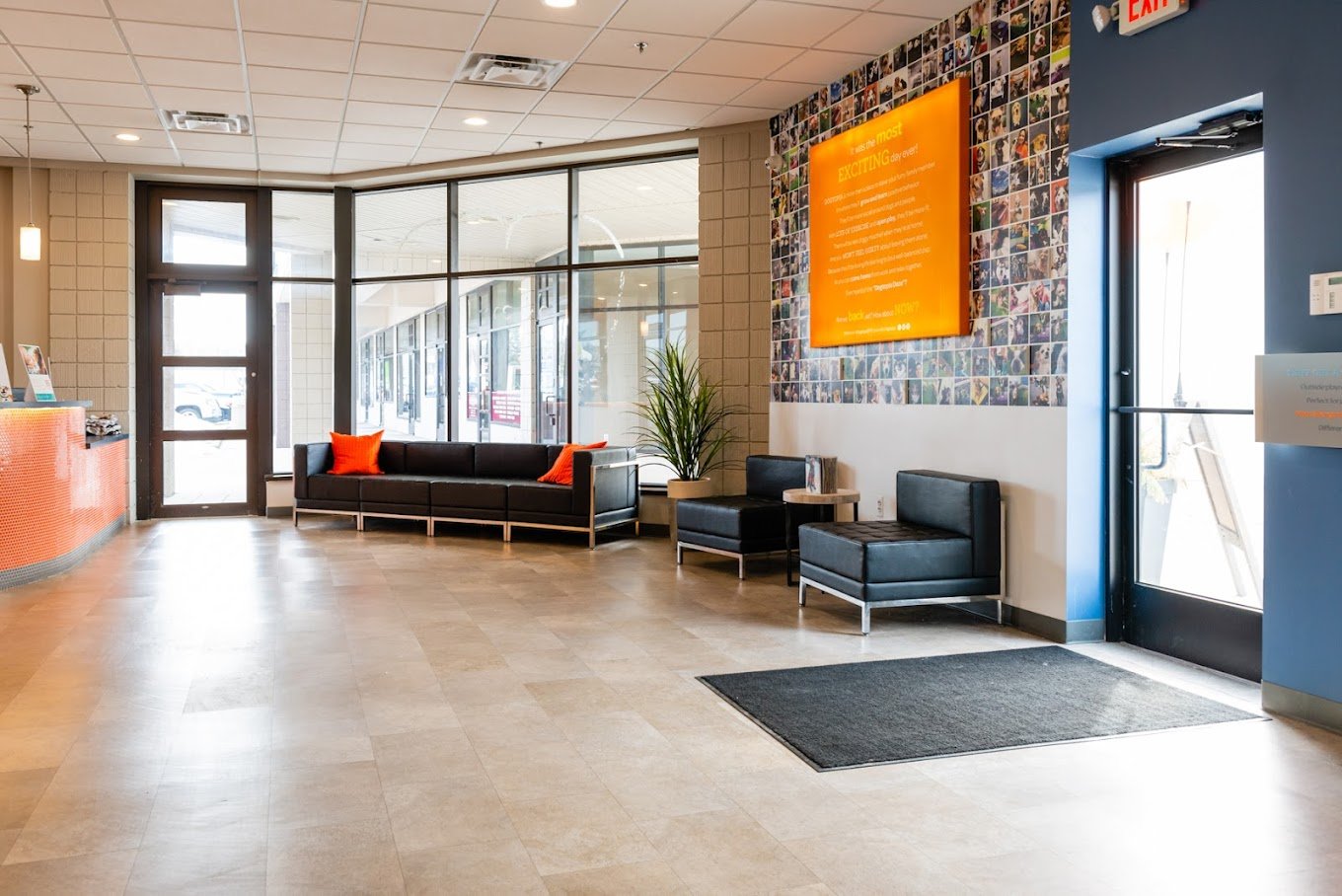 dogtopia commerce lobby.jpg