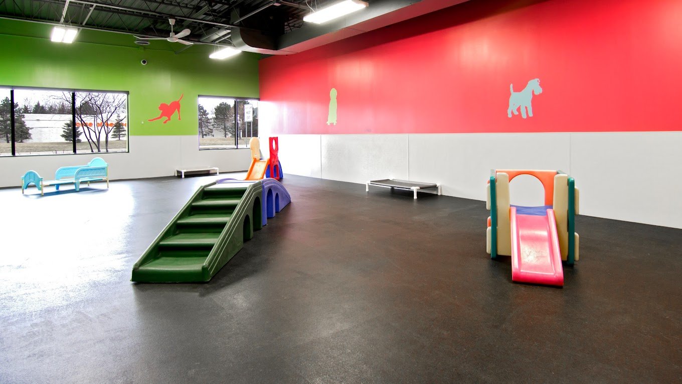 Dogtopia Play Rooms.jpg
