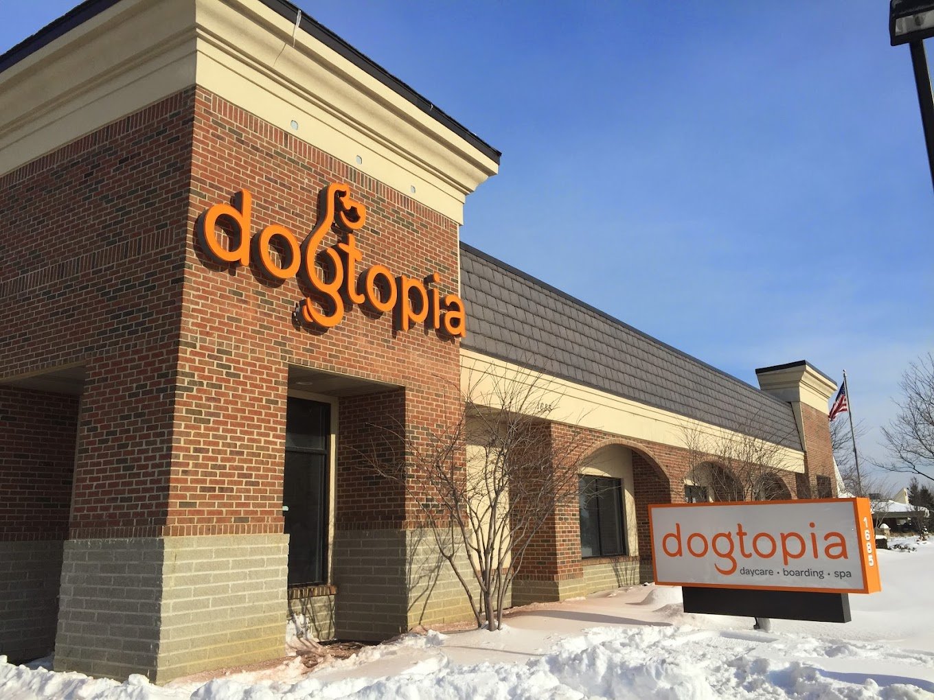 Dogtopia extirior .jpeg
