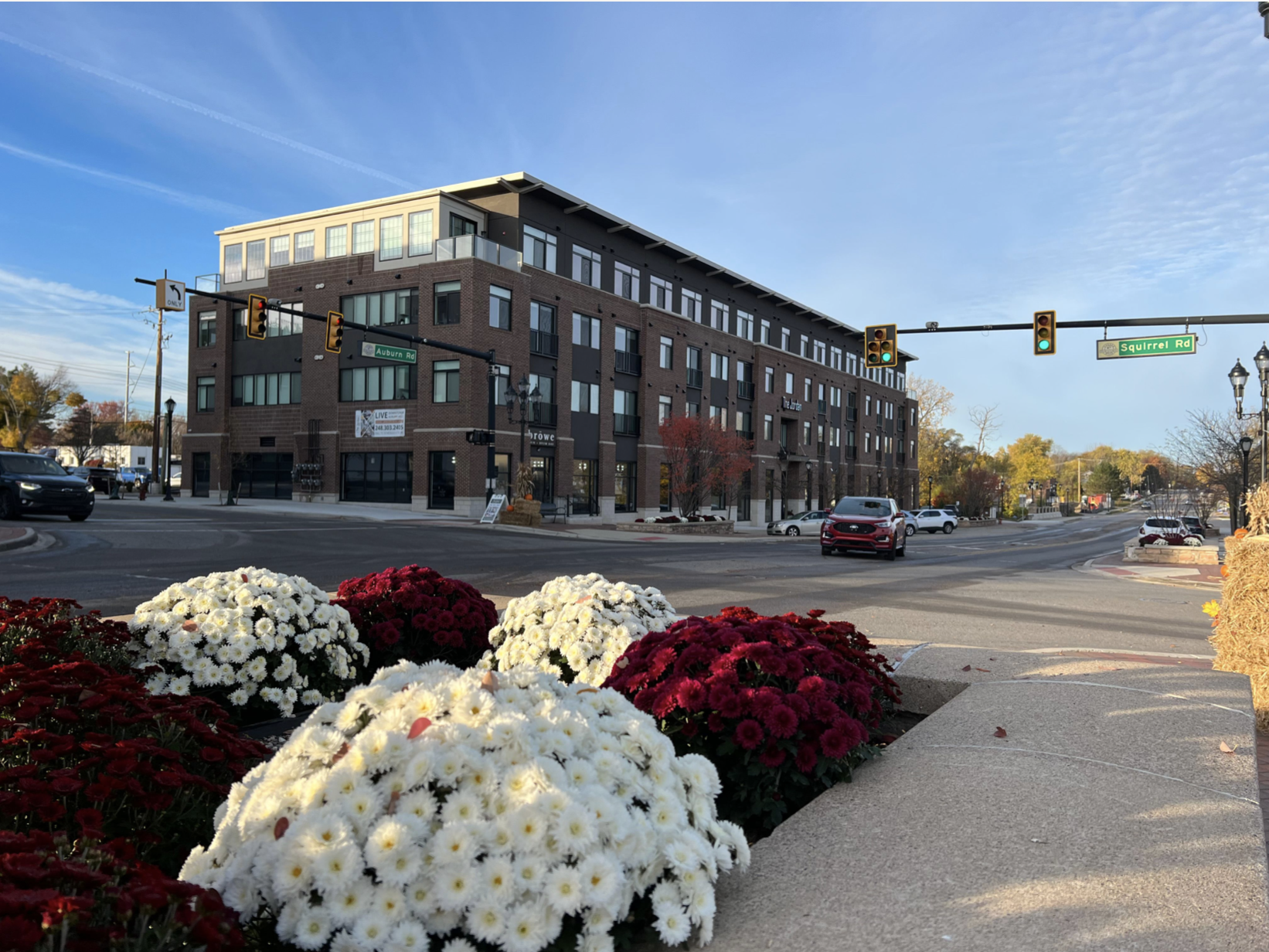 Screen Shot 2023-01-11 at 12.32.46 PM.png