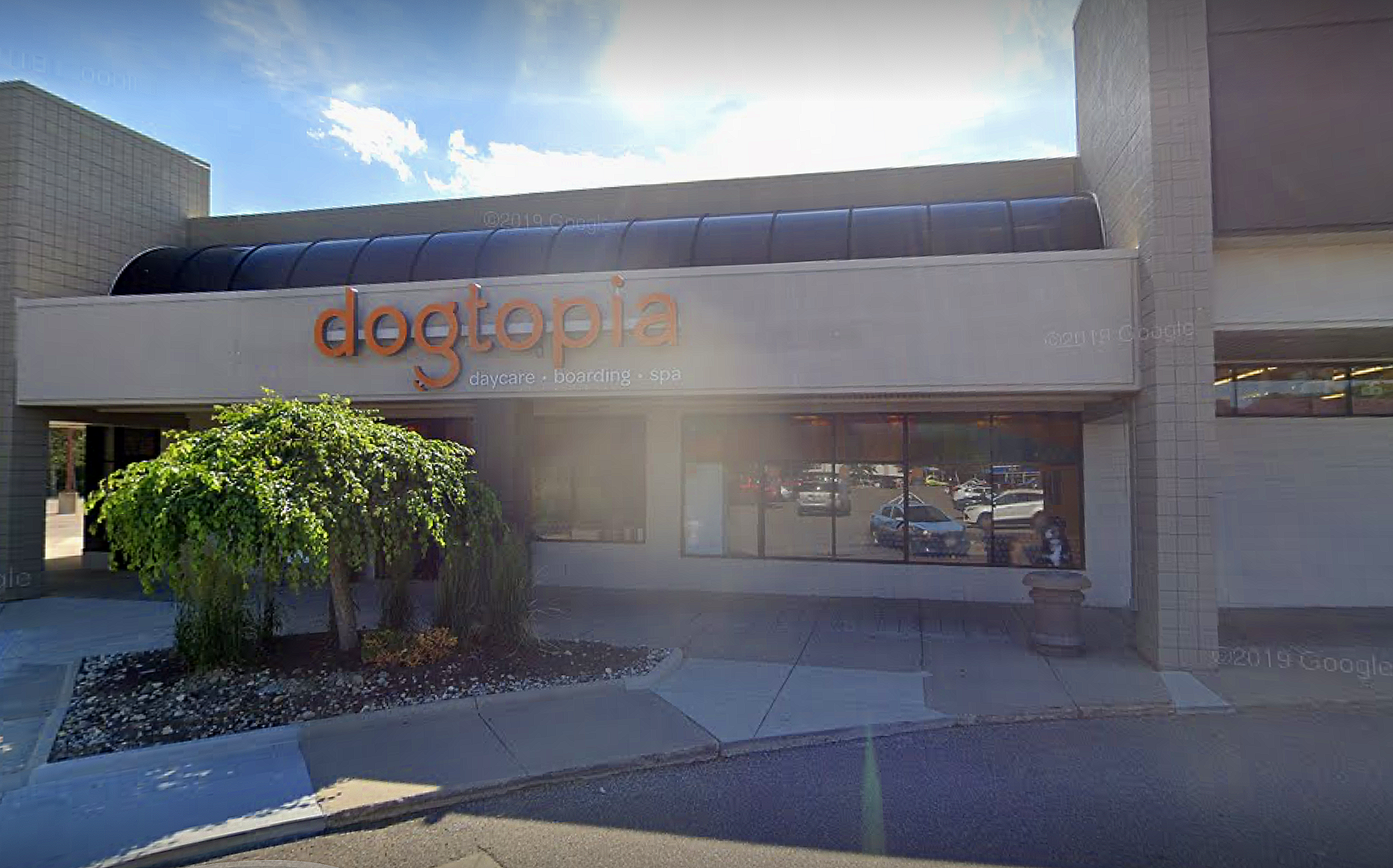 Dogtopia Commerce