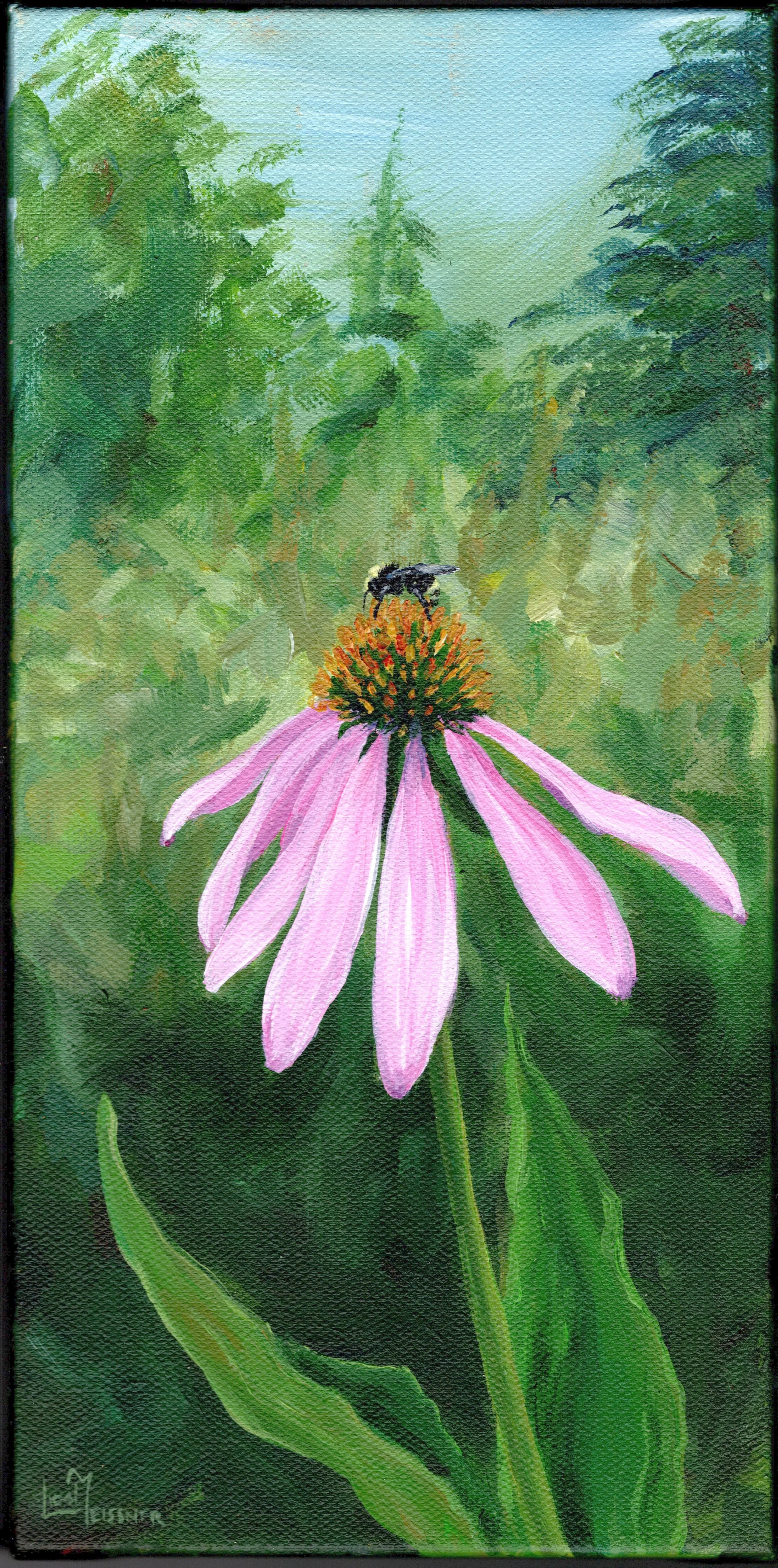 Echinacea & Bee