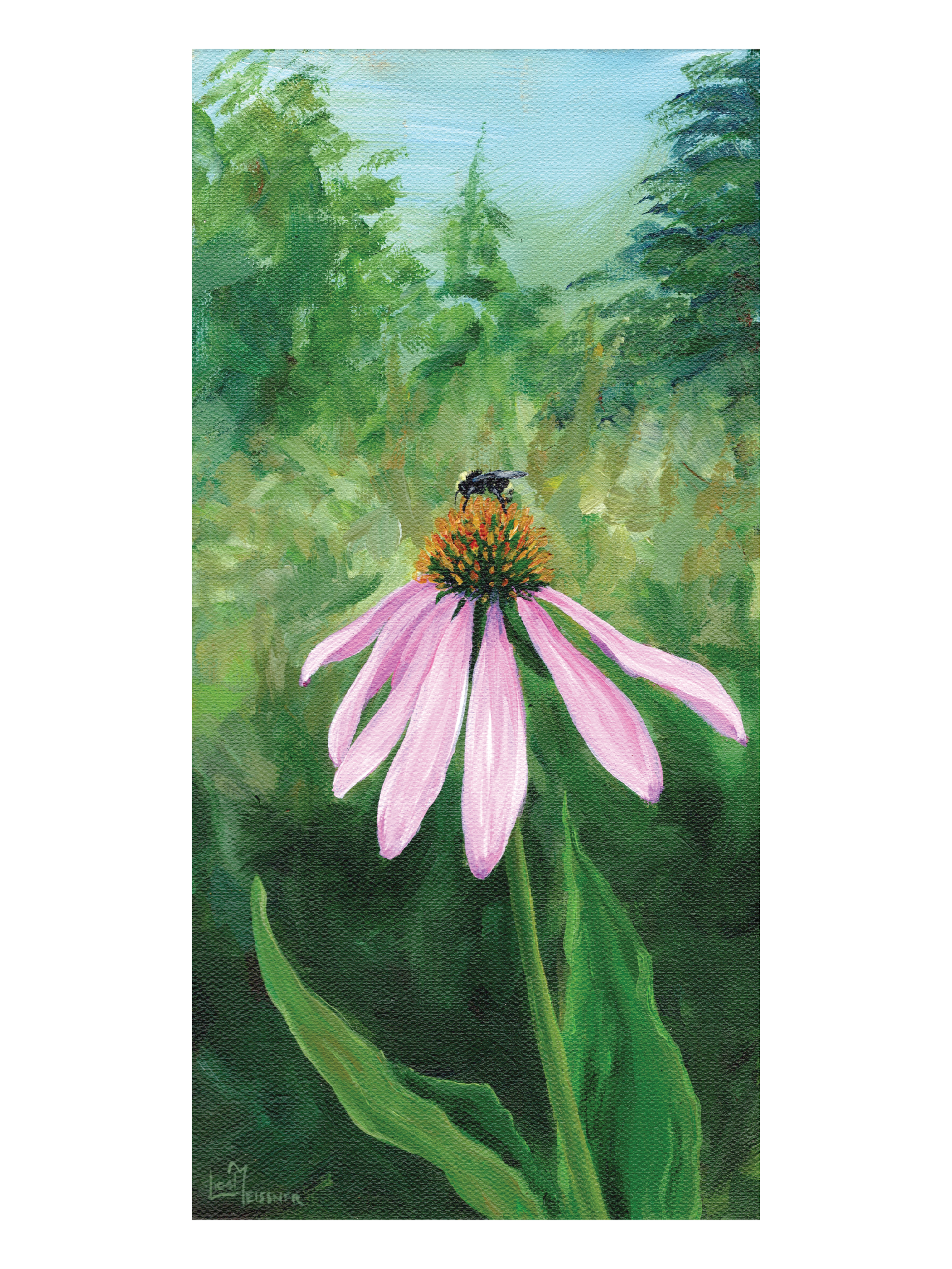 Echinacea & Bee - Print