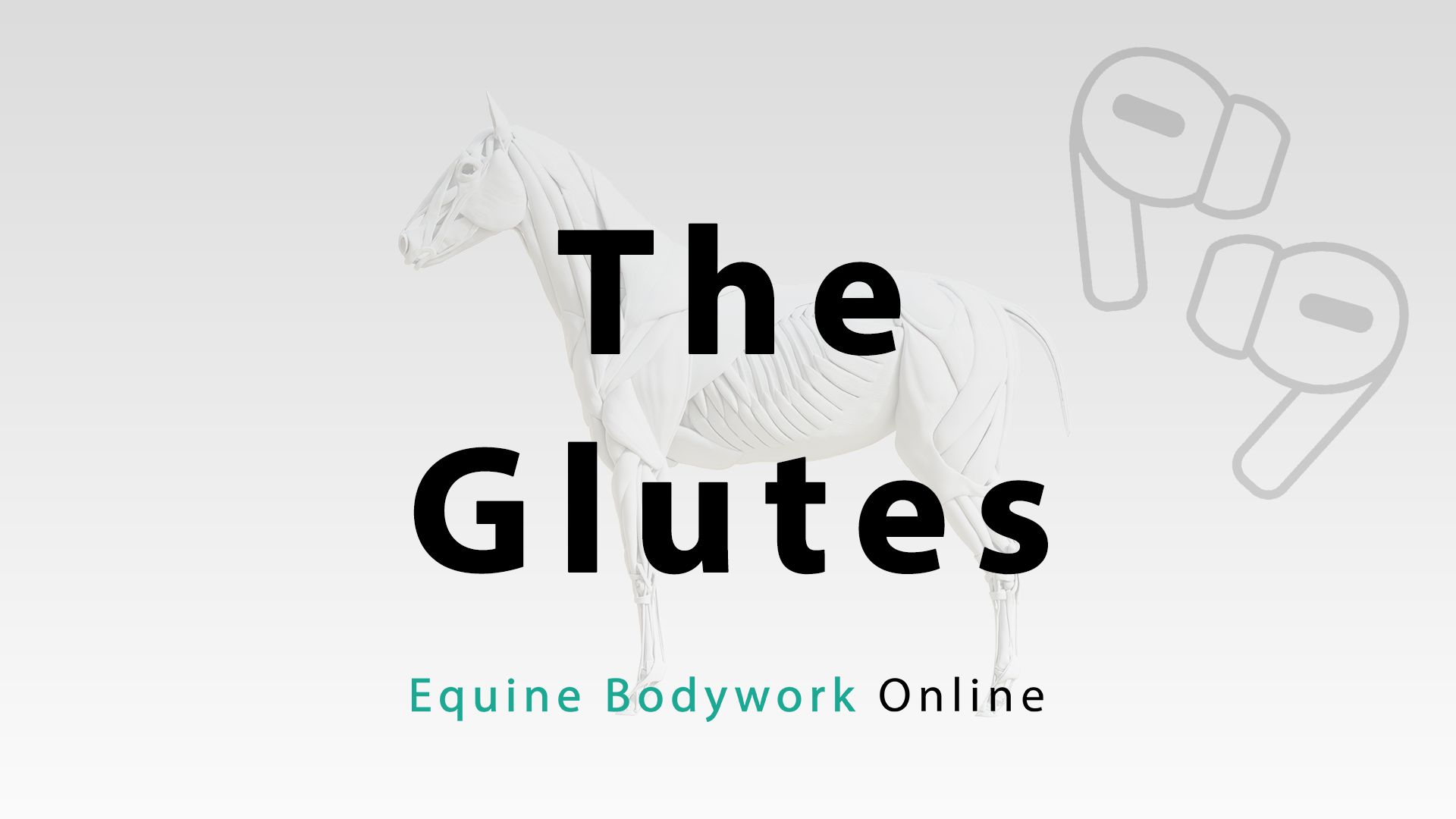 The Glutes