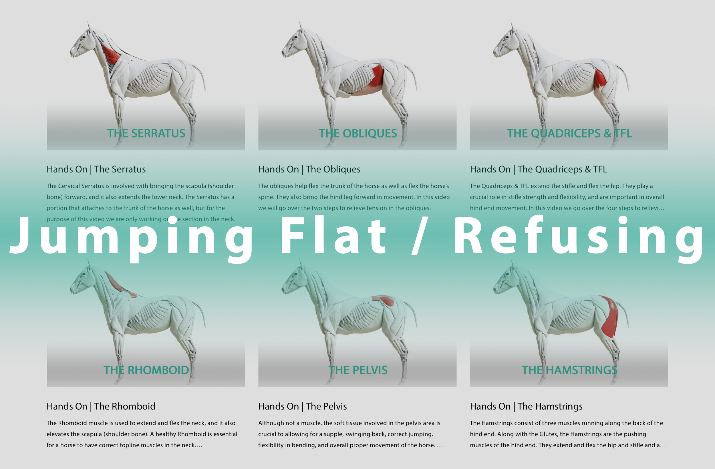 Jumping Flat / Refusing
