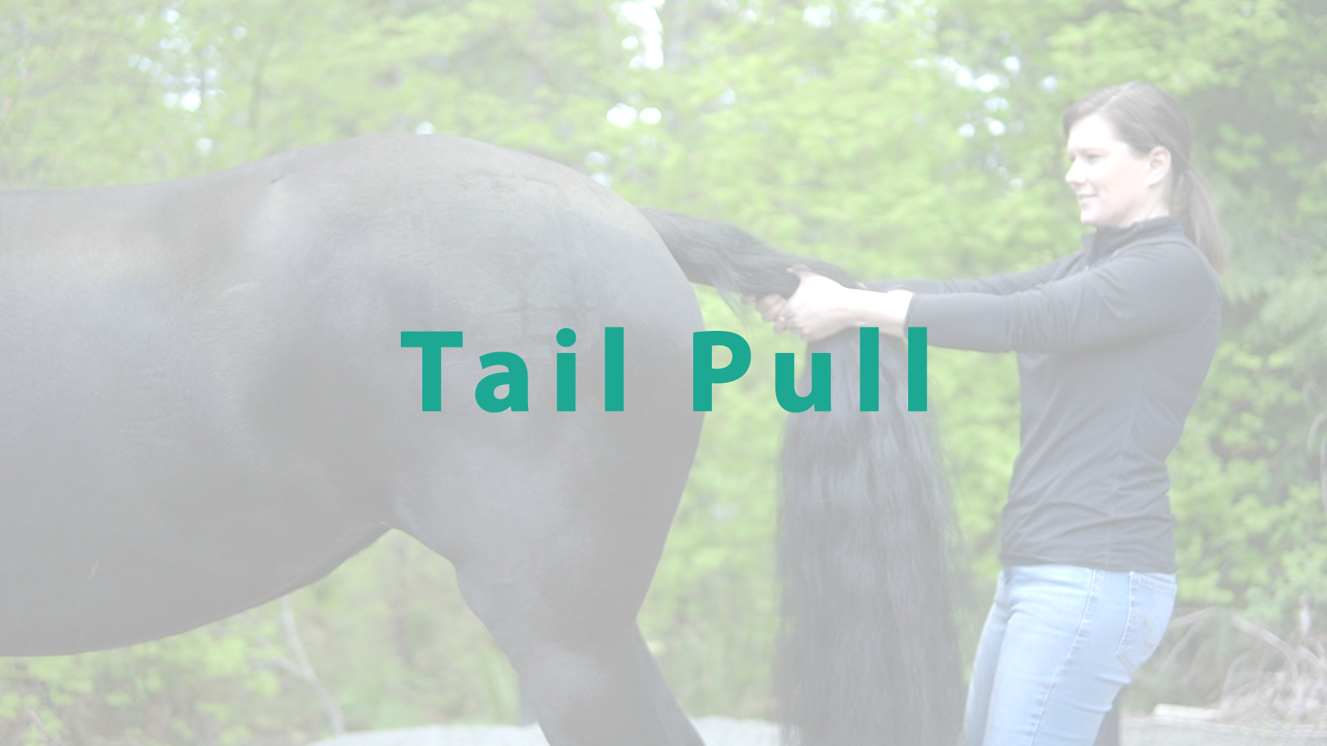 Tail Pull Stretch - Thumbnail.png