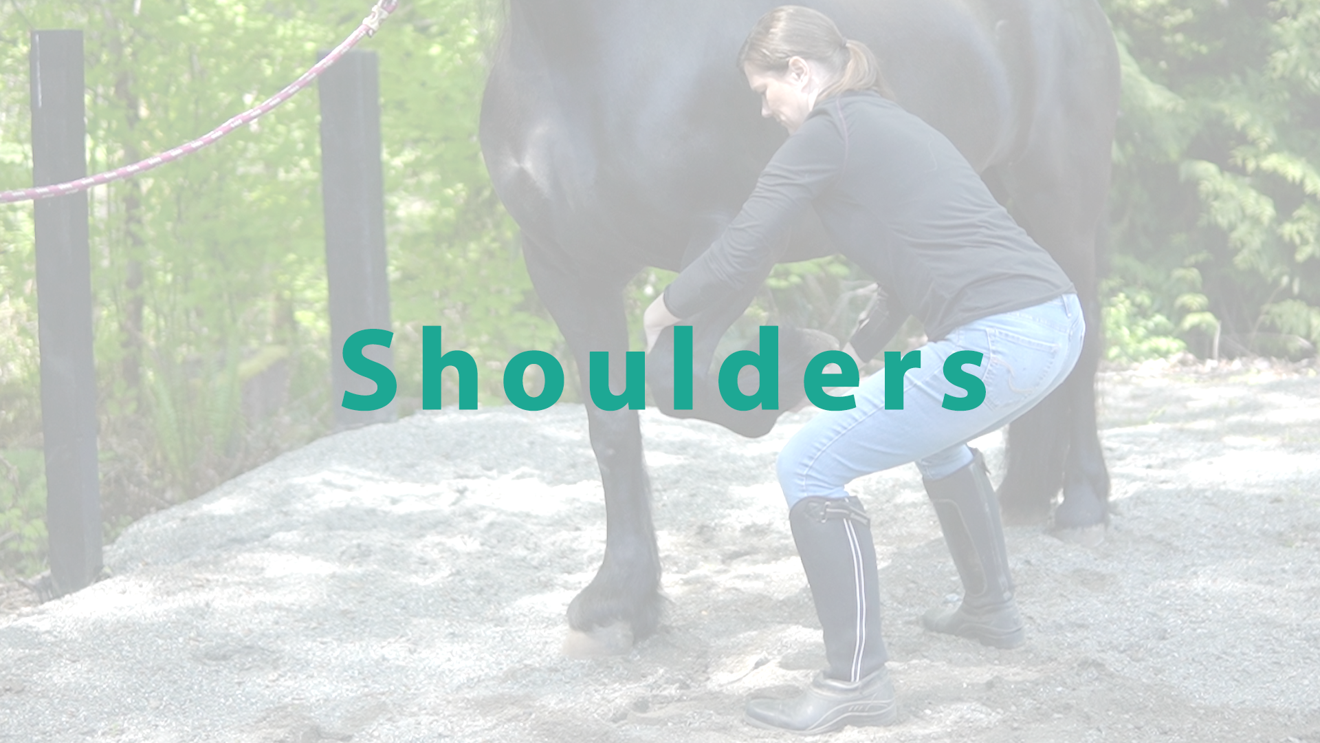 Shoulders Stretch - Thumbnail.png