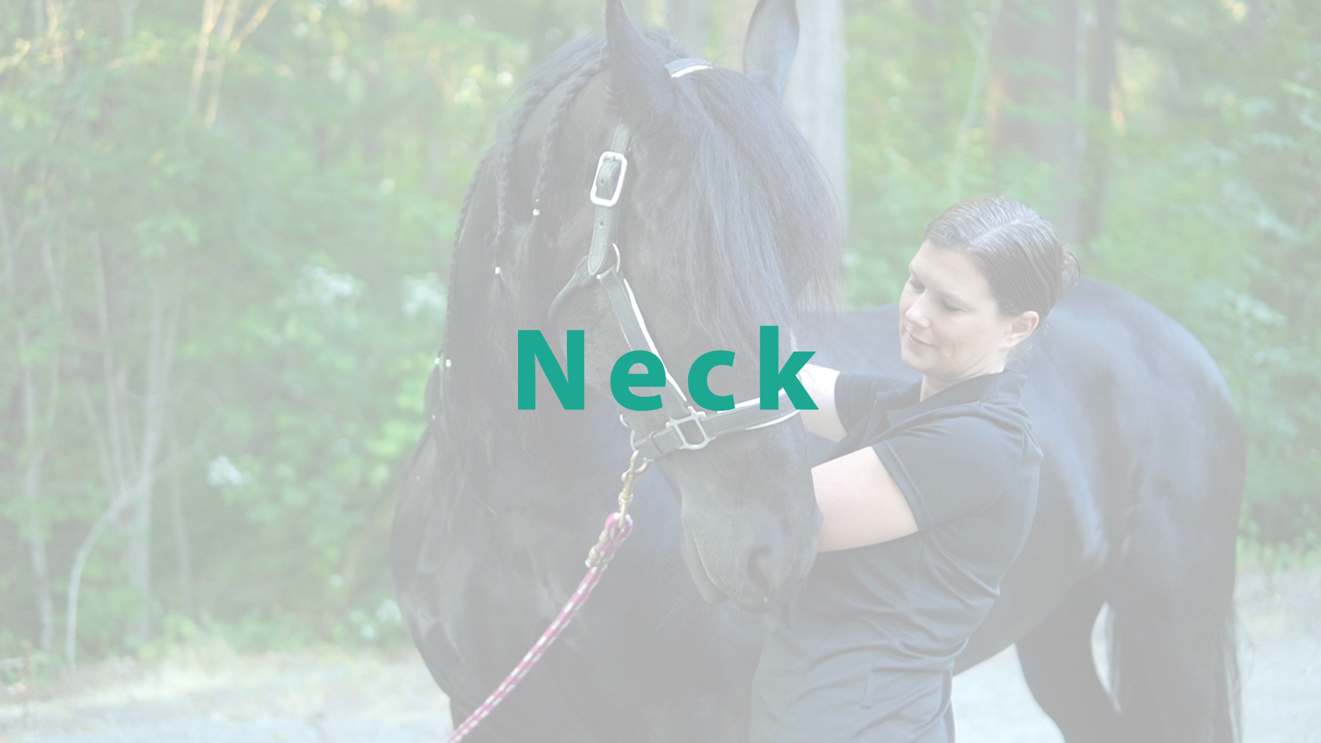 Neck Stretch - Thumbnail.png
