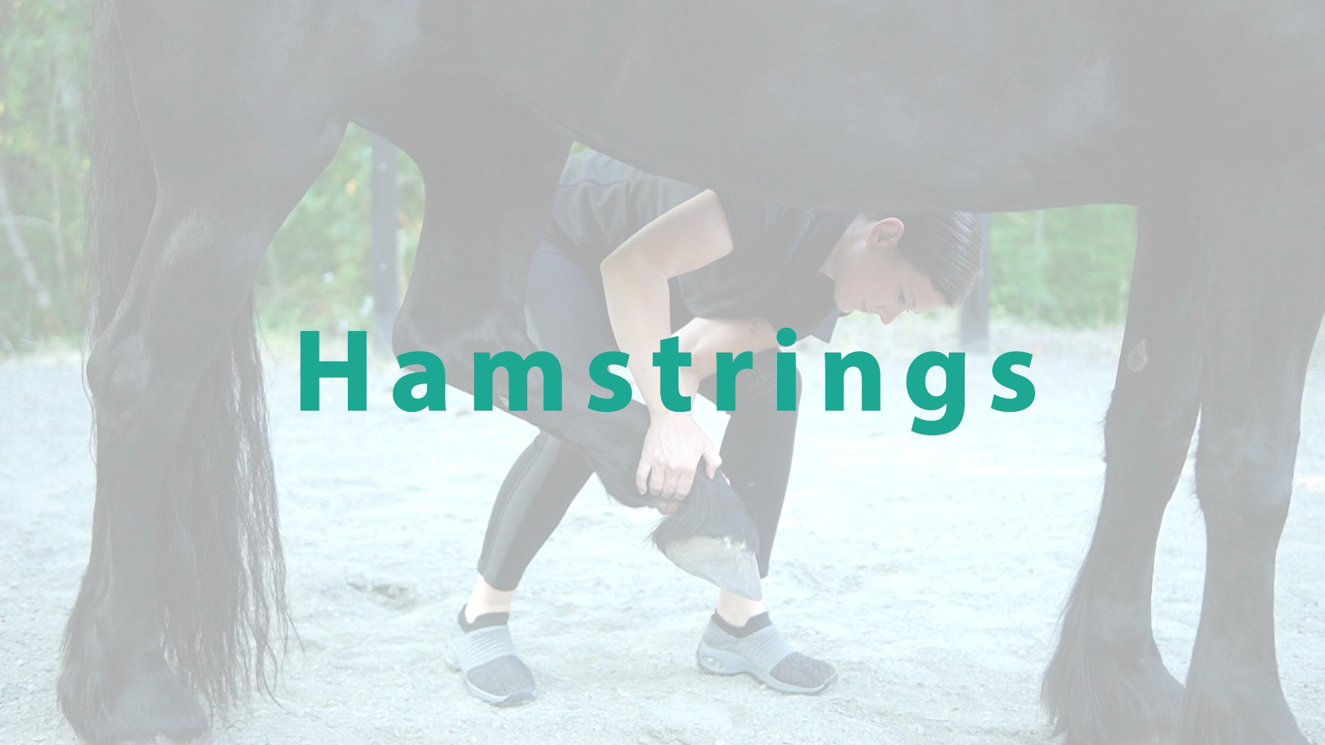 Hamstrings Stretch - Thumbnail.png