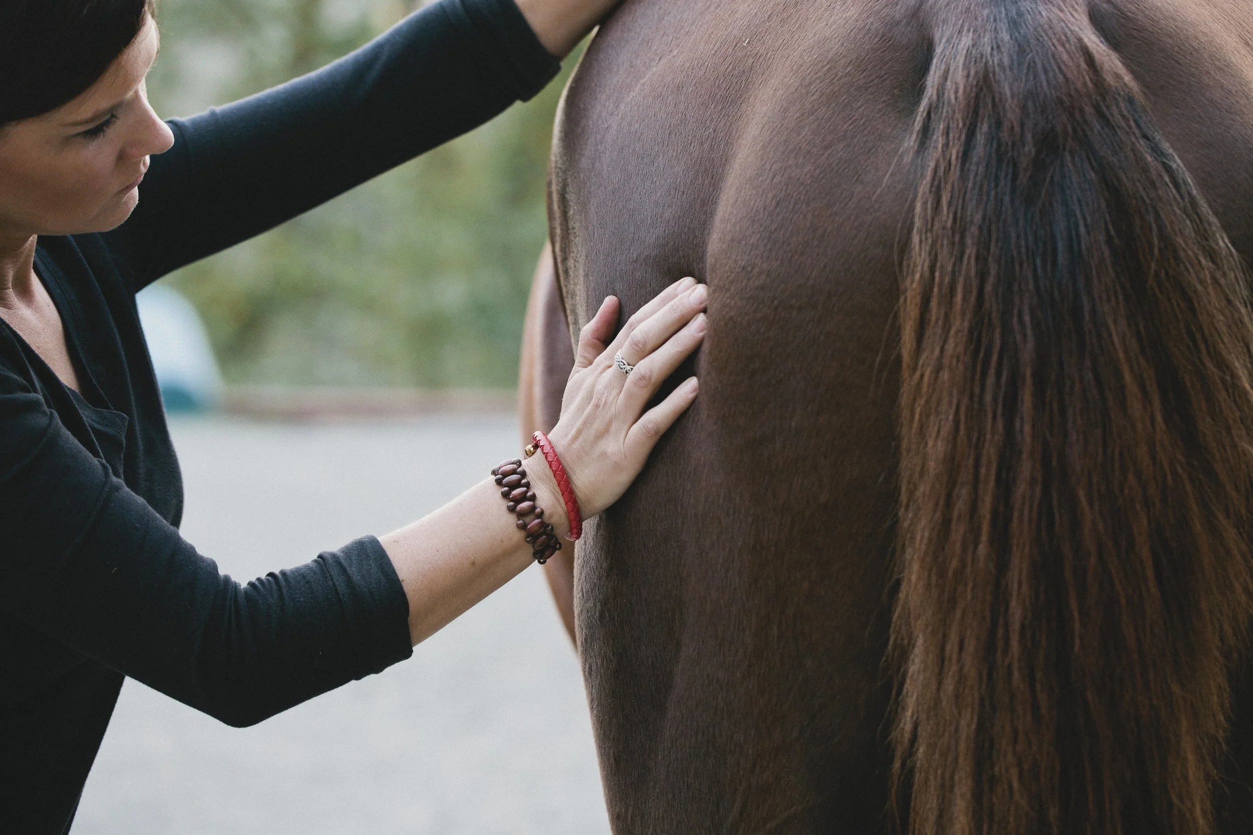 How the Hamstrings Support the Stifle in Horses