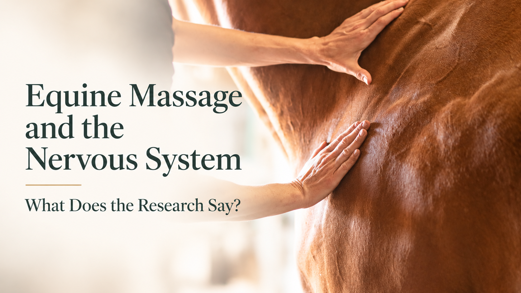 Equine Massage and the Nervous System: What Does the Research Say?