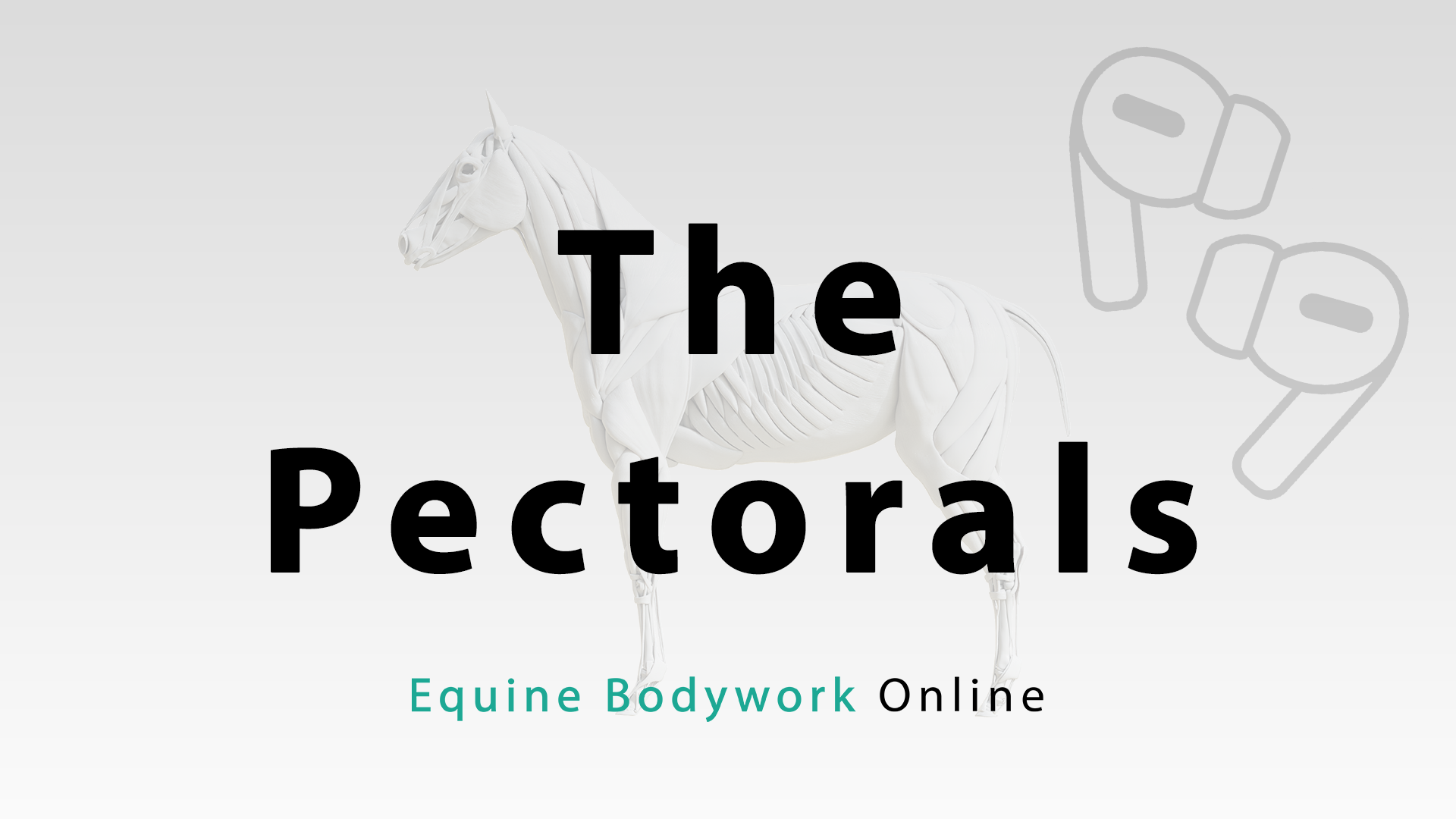 The Pectorals