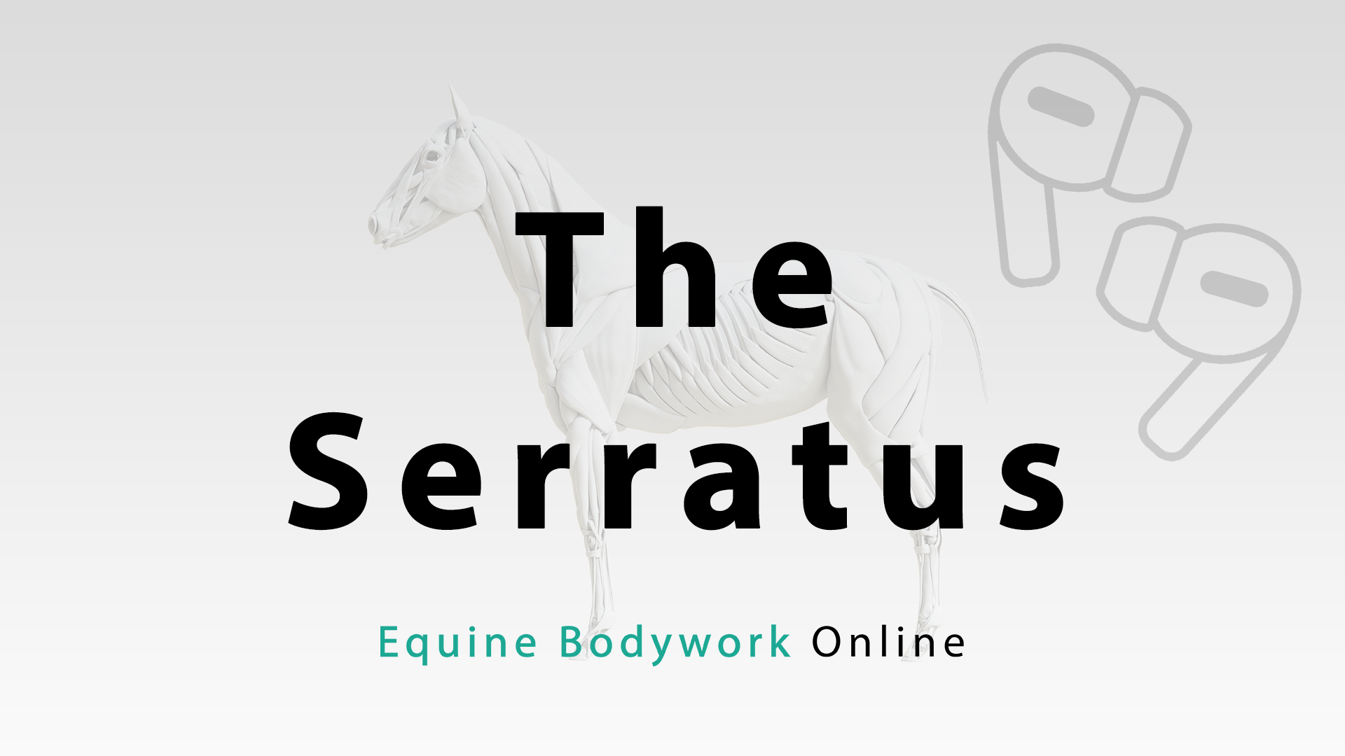 The Serratus