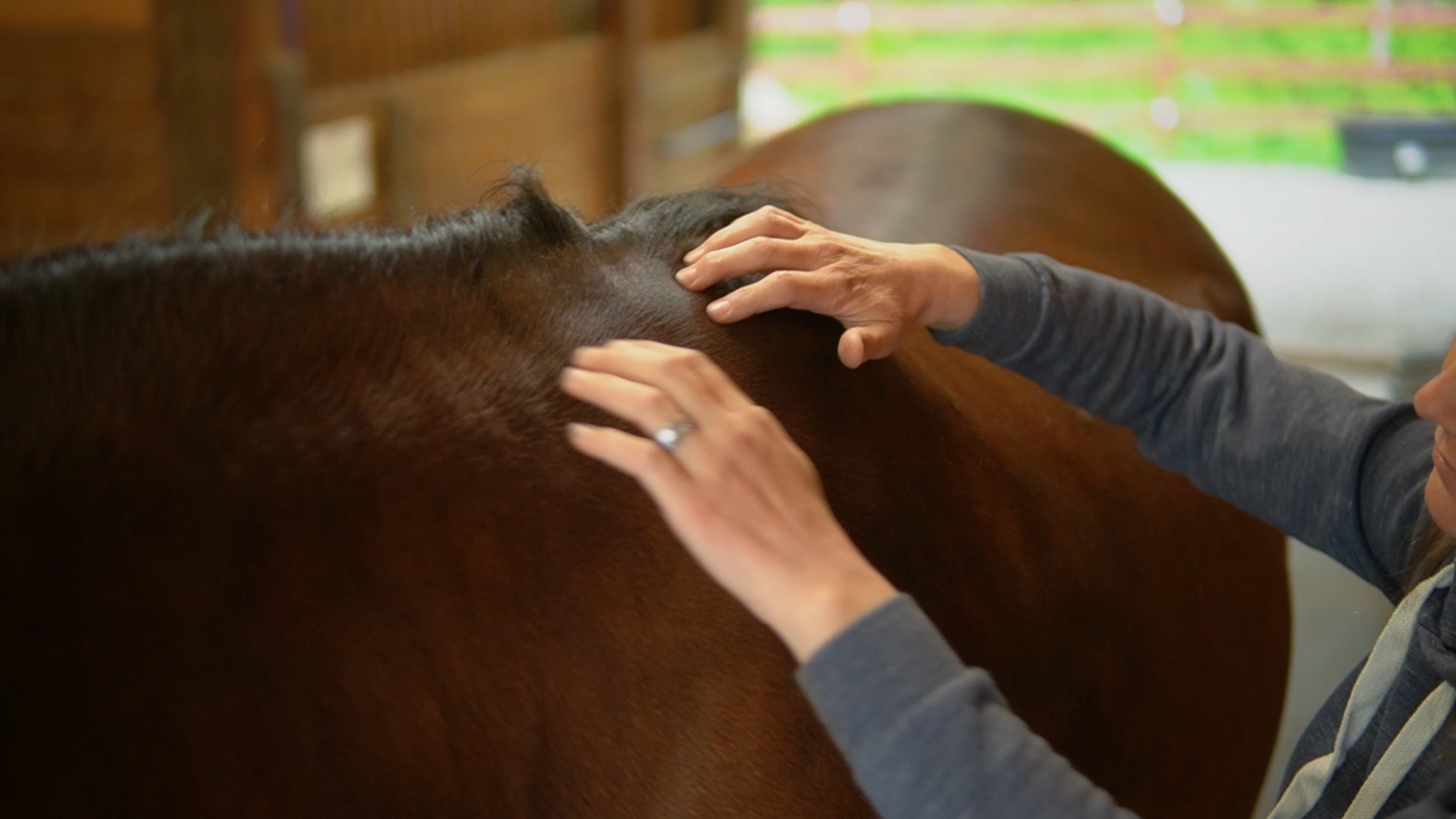 Neck Tension Series - Website Banner v1.png