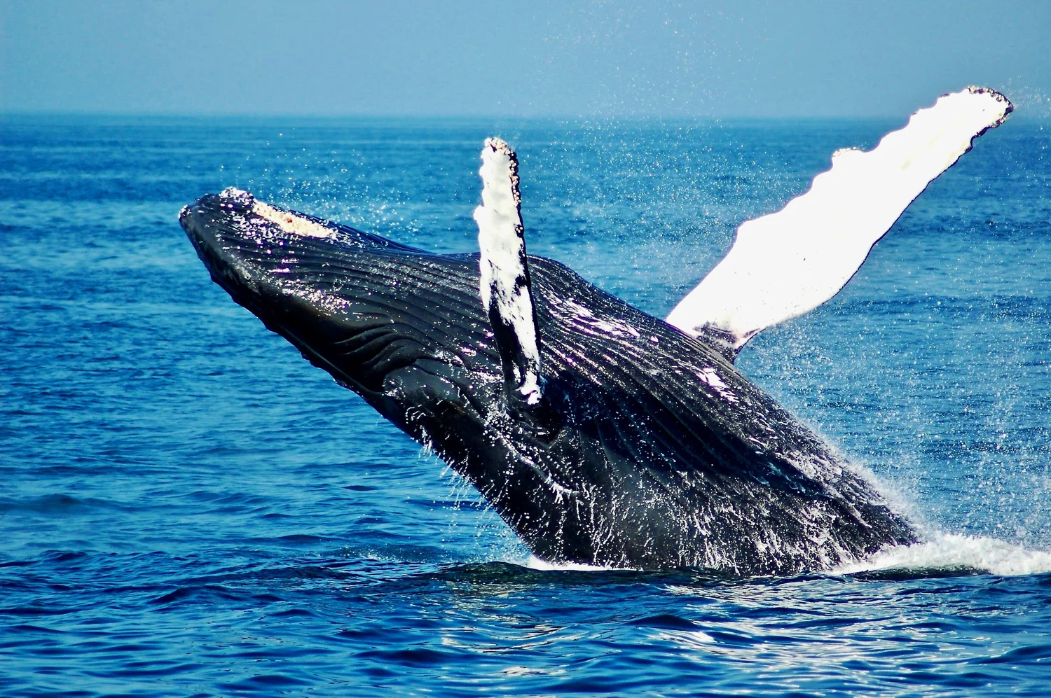 Documents — Puakea Bay Ranch