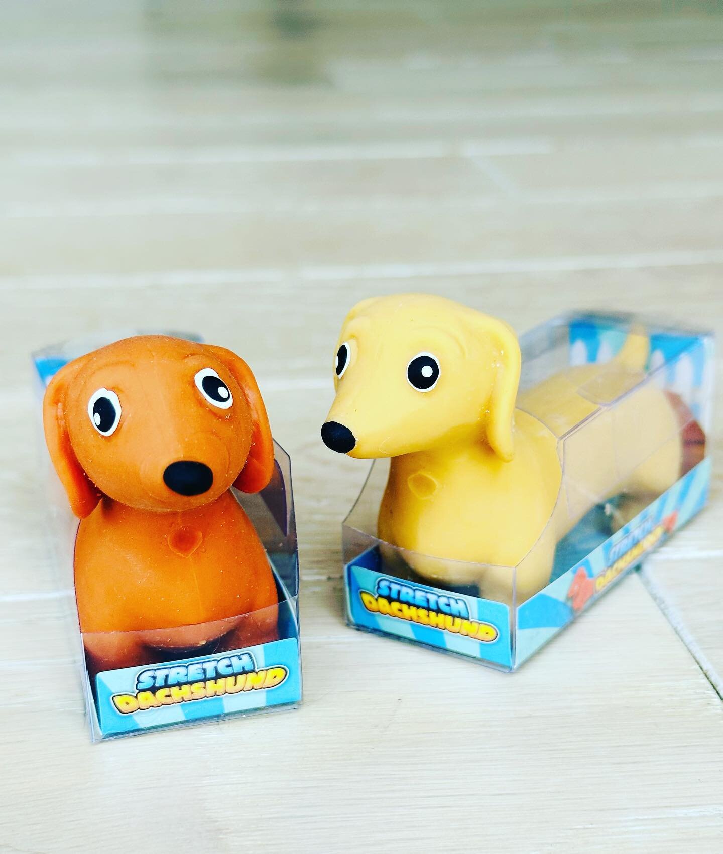 Lu and Honey x ✌🏻 #blueandhoneypetcare #weinerdogsofinstagramdachshunds