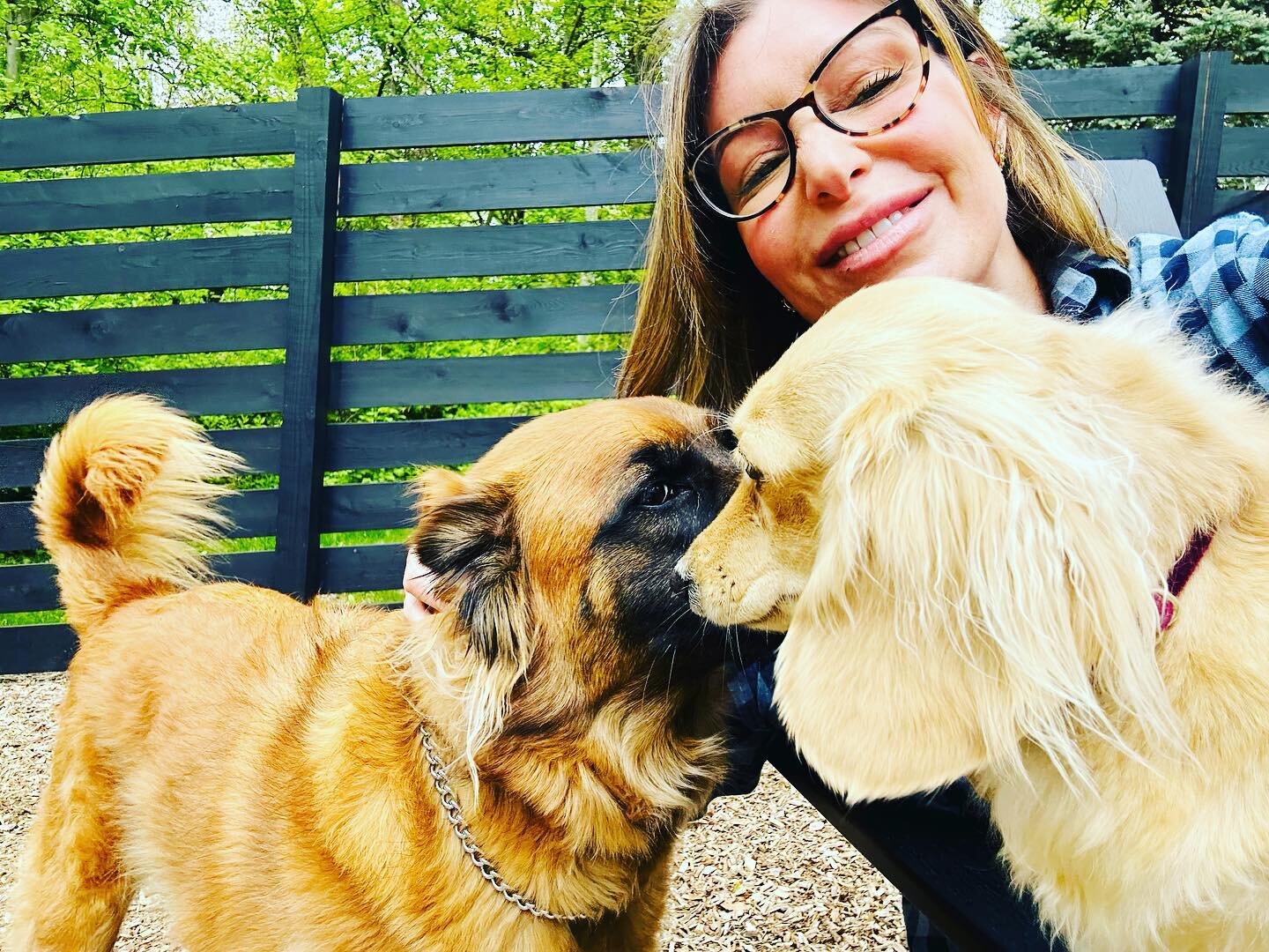 Whispering secrets about where all the bones are hidden 🤫 #blueandhoneypetcare #girldogs
