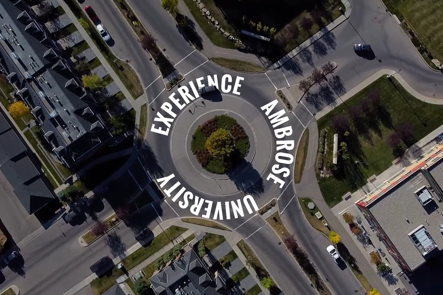 Branding & Advertising