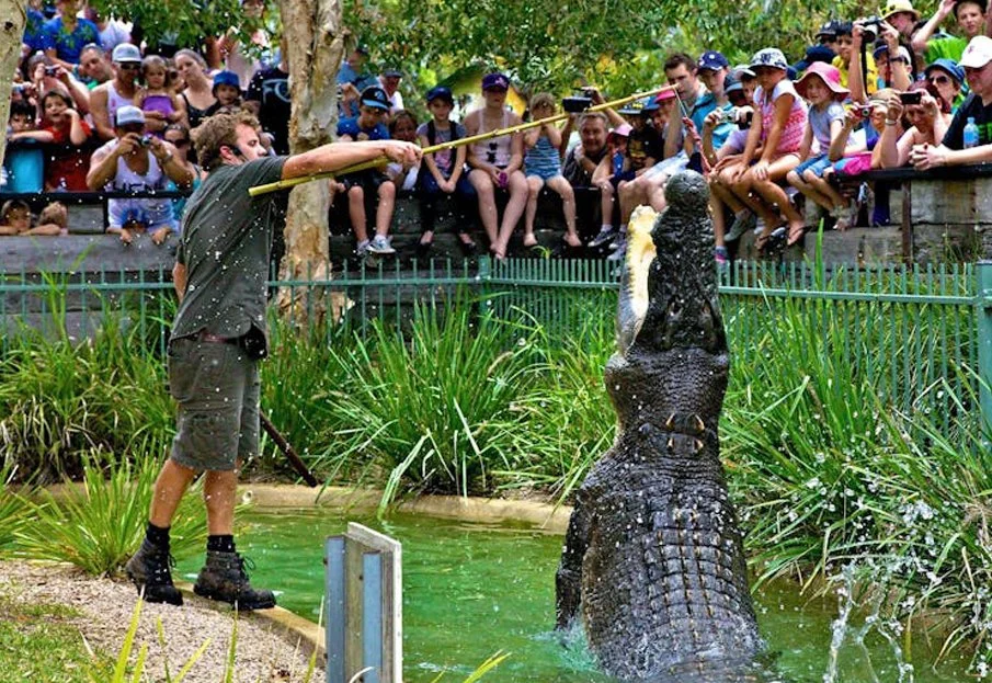 Australian Reptile Park in Somersby