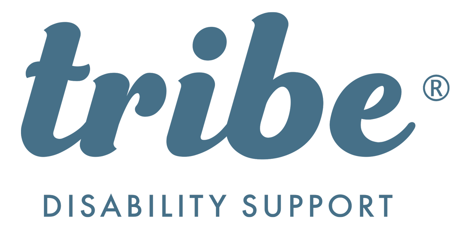Tribe Disability Support