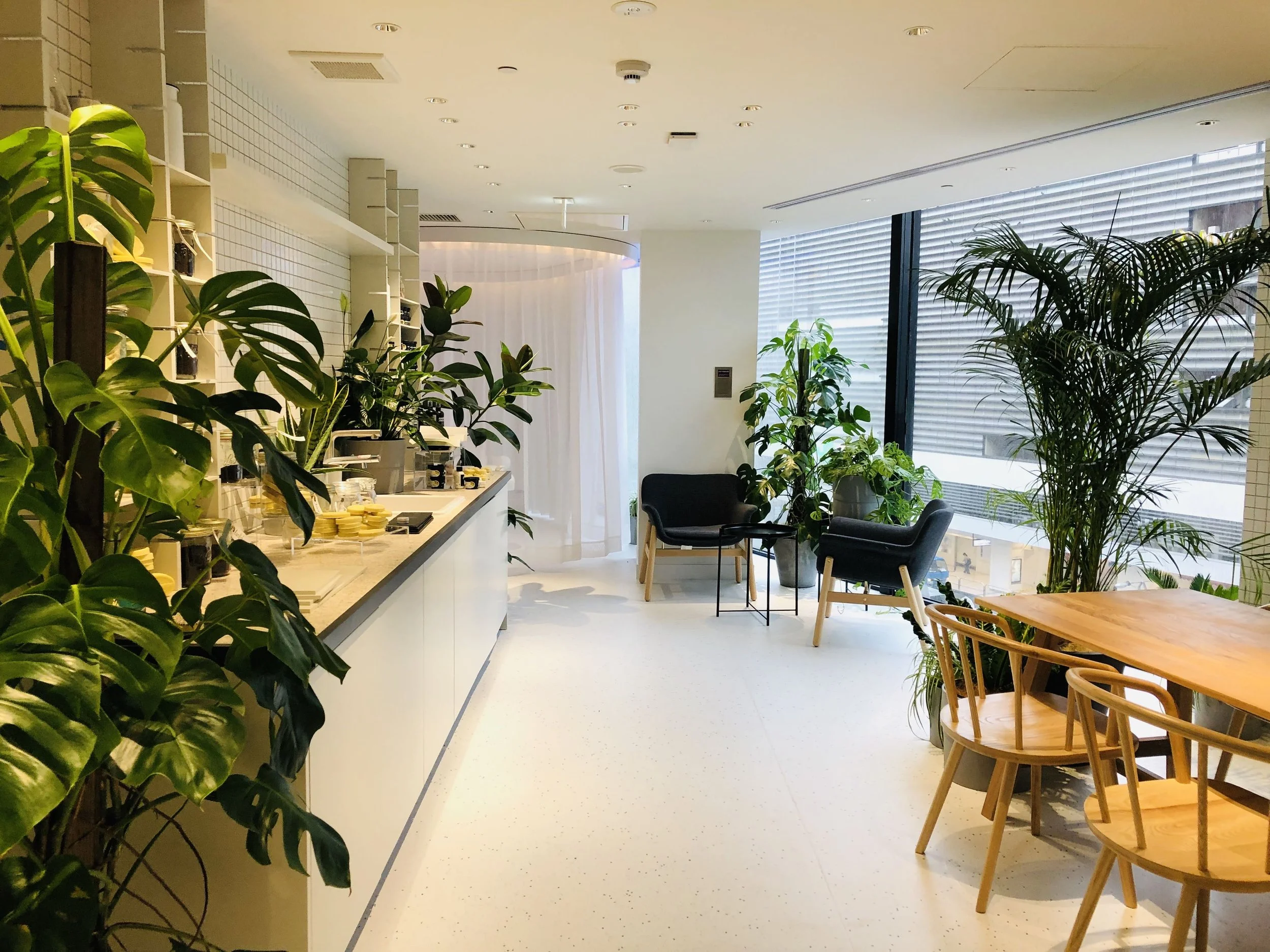 Lush, Spa, Japan, Asia, Sustainable, Beauty, Treatment, Technology, Ethical, Design, Digital Design, Interior Design