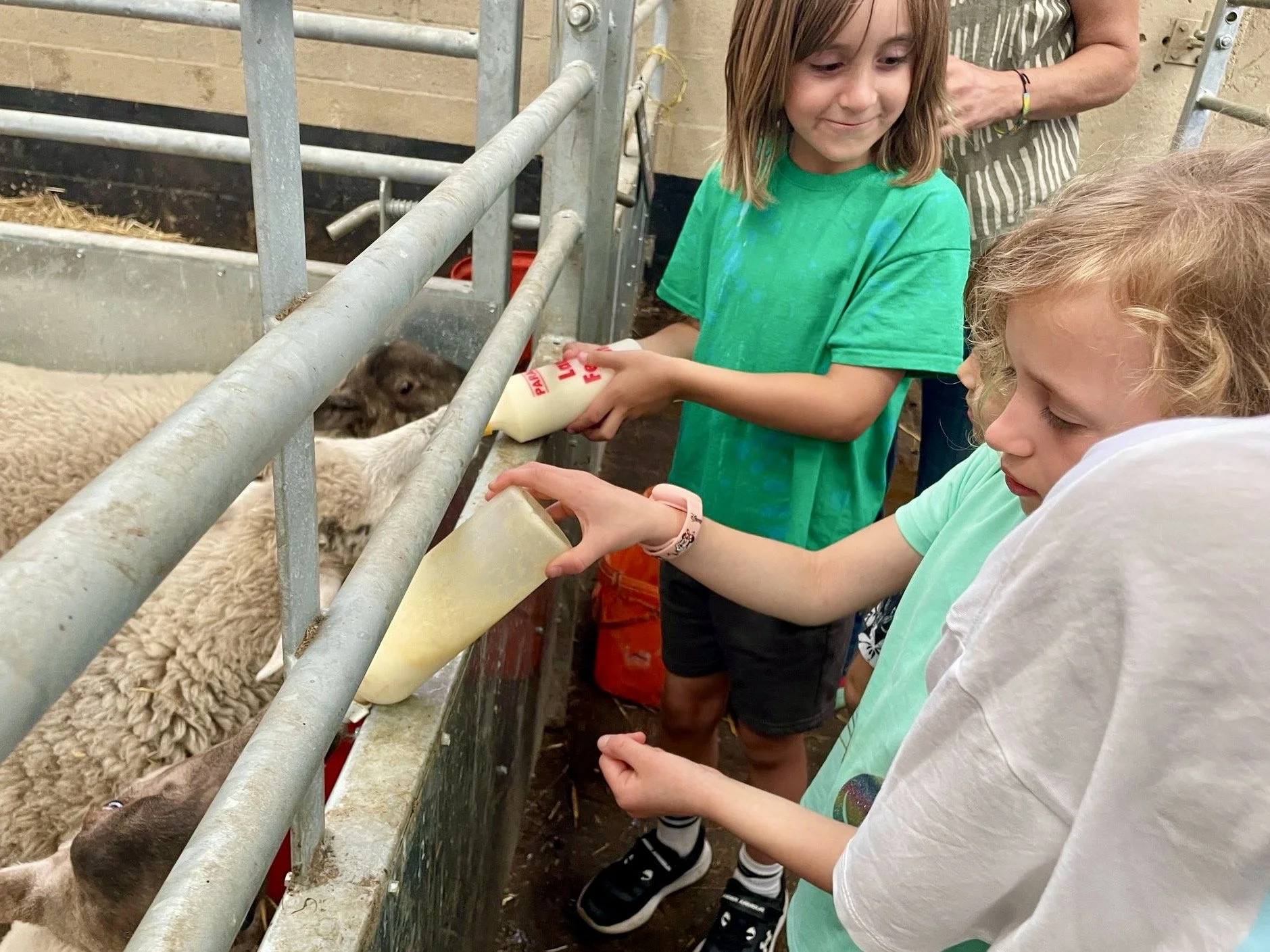 6a585bce-772e-4323-b7c0-3d19bcc98f98 (1).jpg