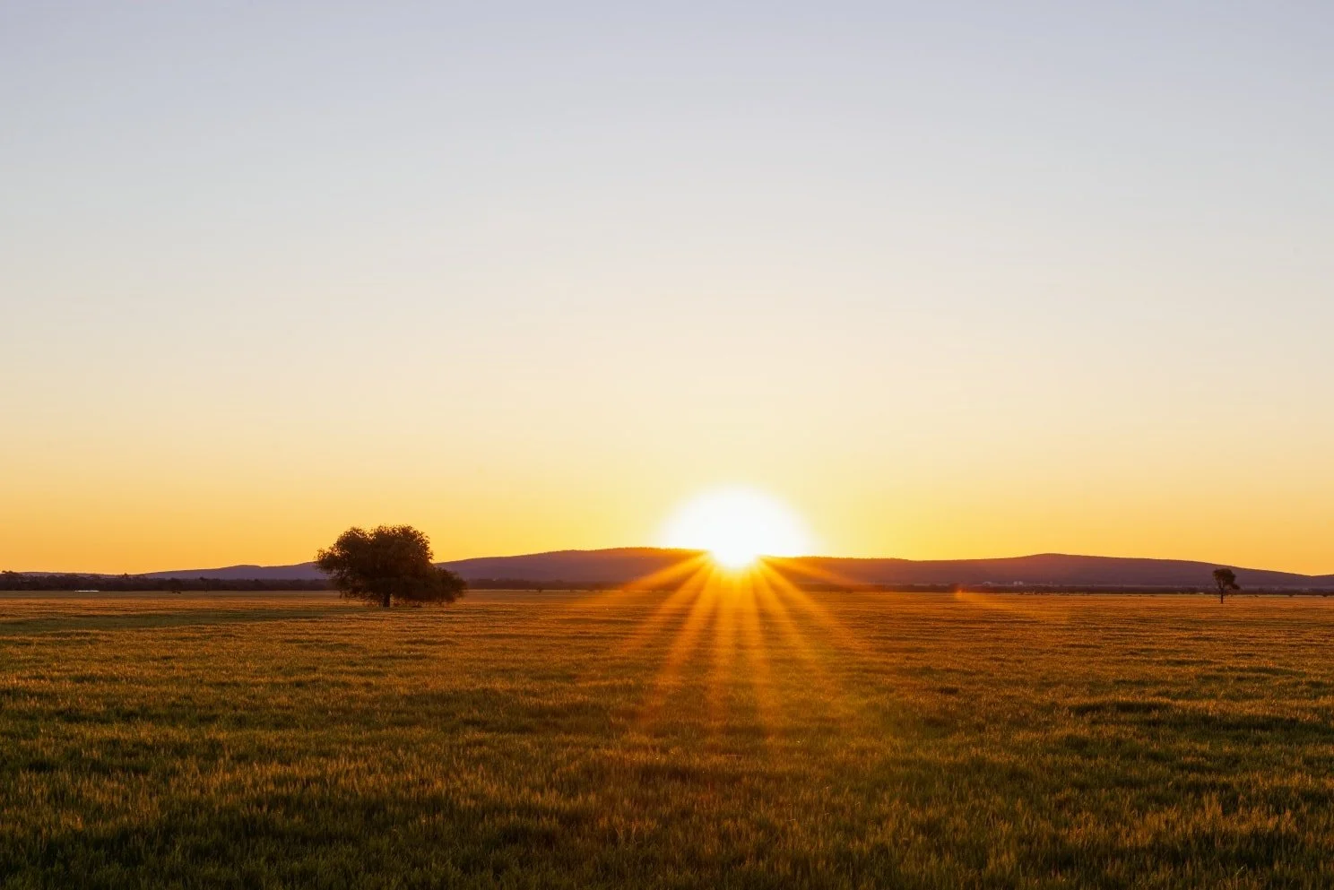 Most days I spot scenes like this while driving and keep going, but this time I had to stop and capture it.

#sunsetlovers #landscapephotography #natureperfection #australiansunset #peacefulviews #sunsetmagic #photographerslife #naturephotography #fi
