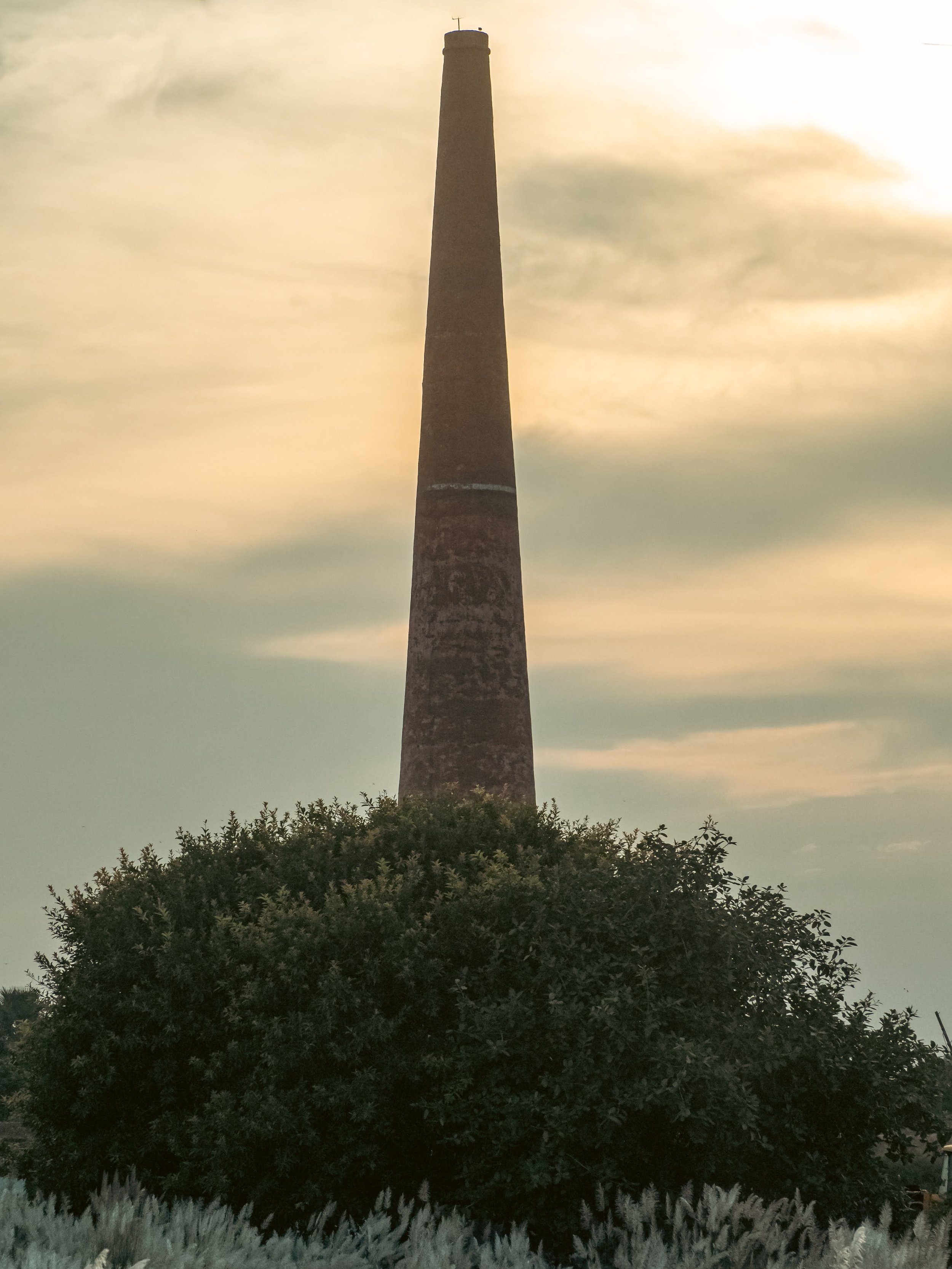 EM531635.jpg