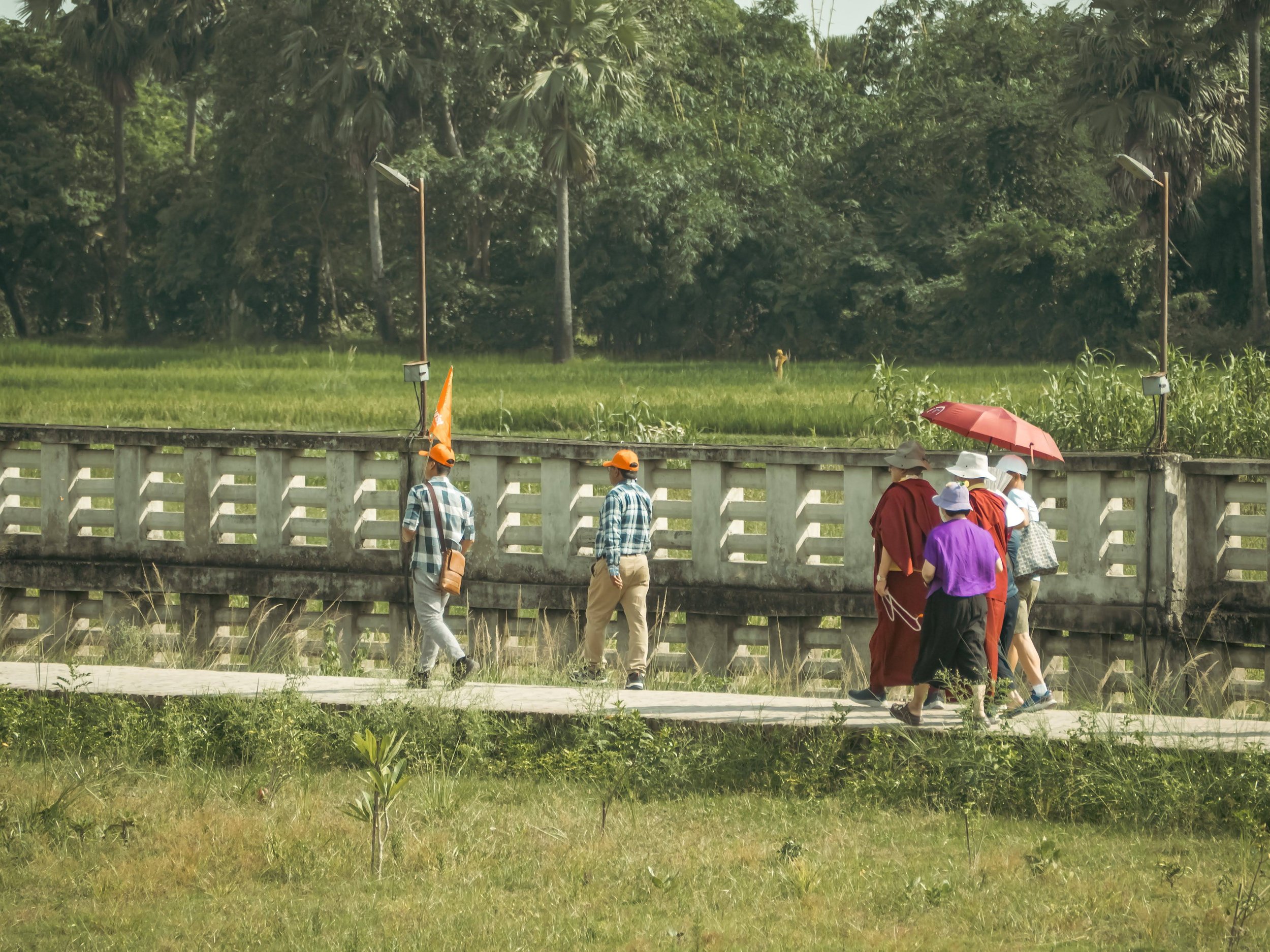EM531483.jpg