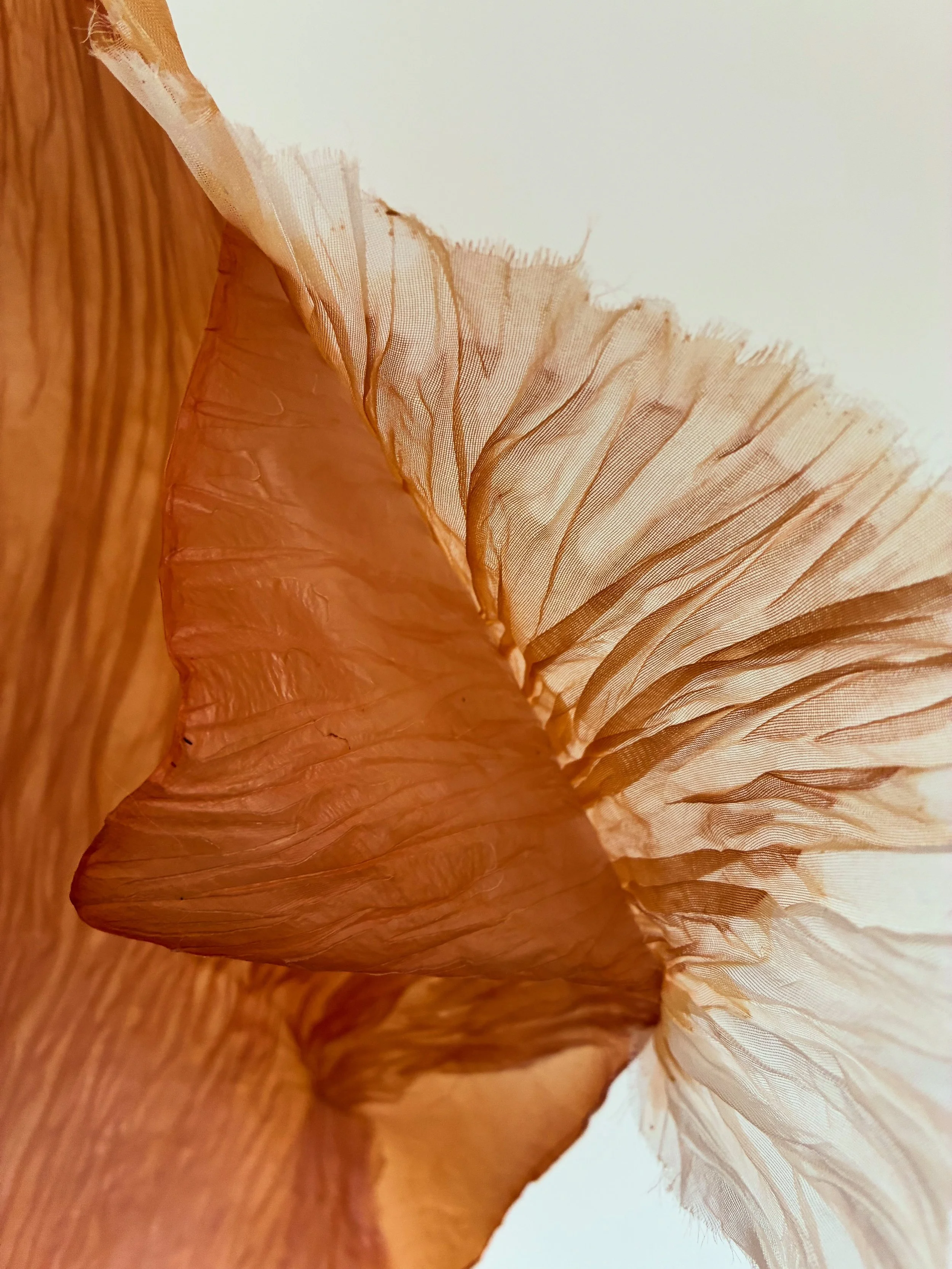 Sculpture made from bacterial cellulose, bio-textiles, textile designer