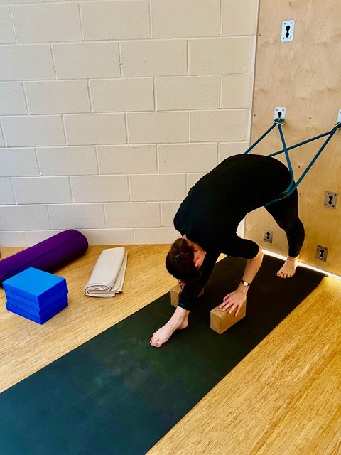 Yoga Kurunta - Iyengar Yoga with Wall Ropes with Sophia Argyris