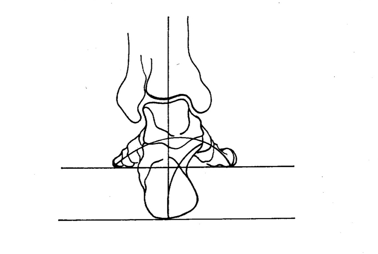 Find your Feet: A Functional Mobility Worskhop with Daria Ricchi