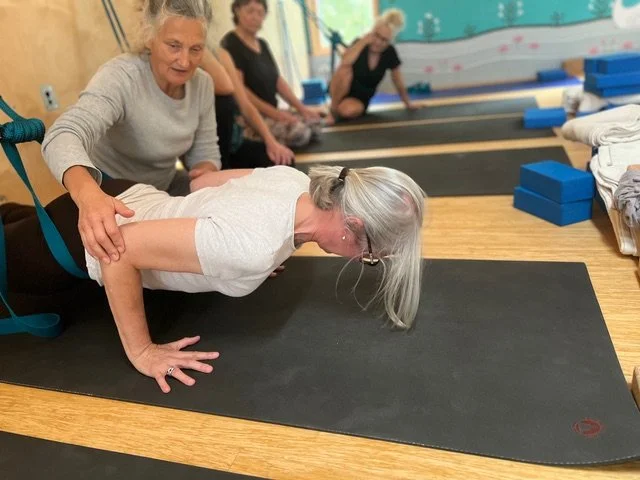 Intermediate (Level 2) Iyengar Yoga Workshop with Julie Hodges