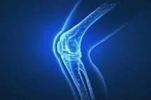 The Knee Joint: Nurturing the Knees with Bertie Jesson