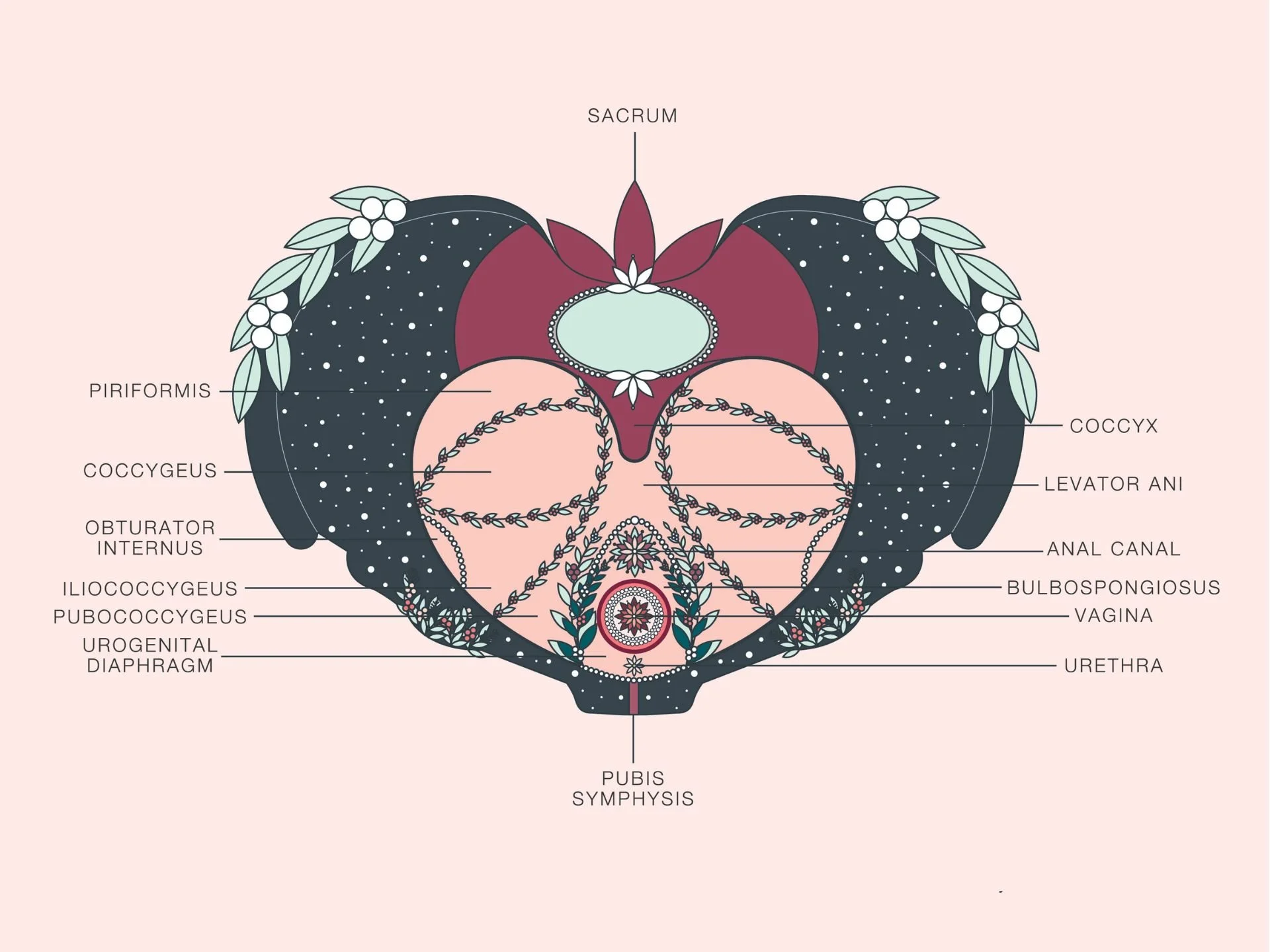 The Story of the Pelvic Floor with Katrin Heuser