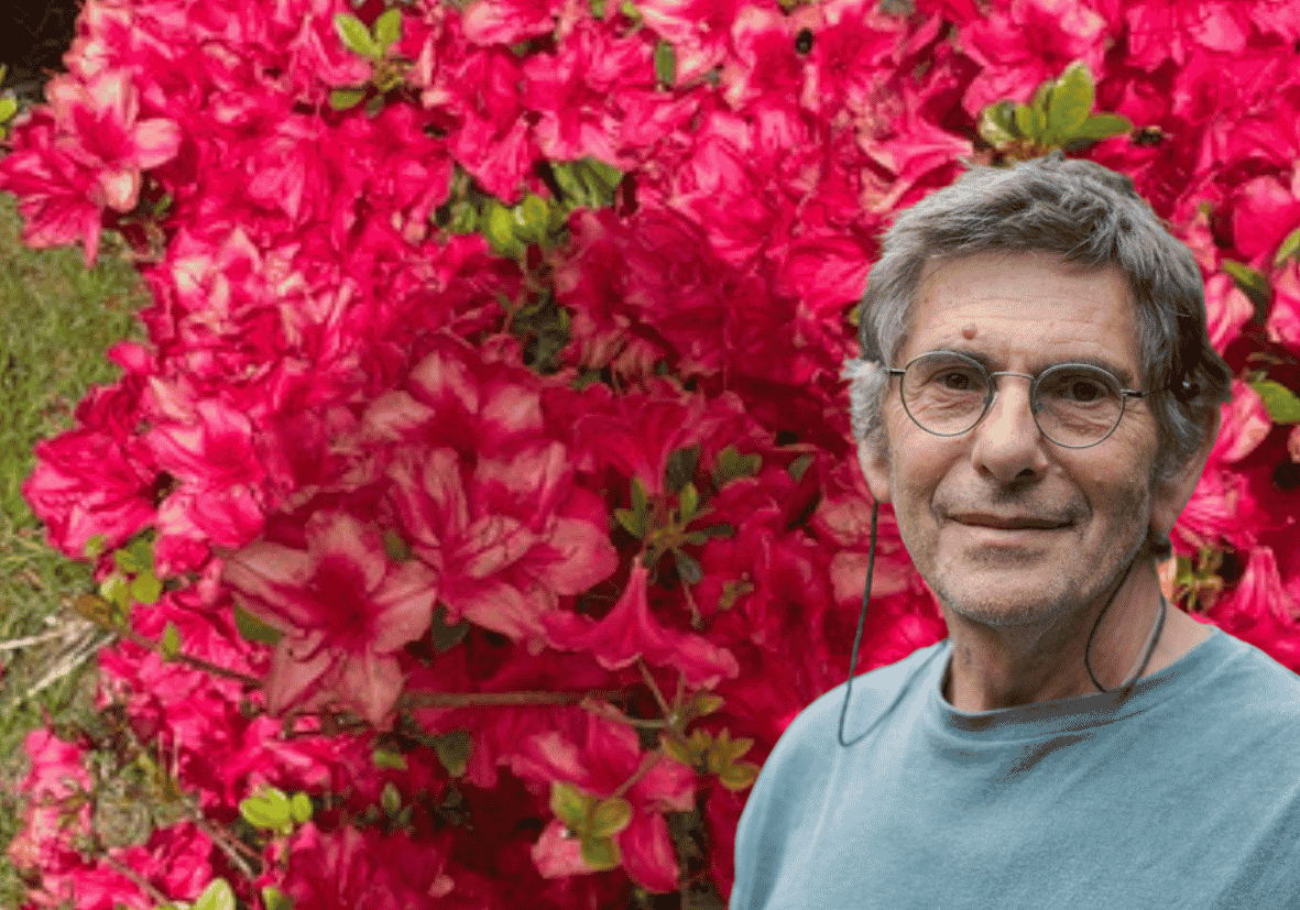 The Heart of Summer: A Day Retreat with Derek Elliott