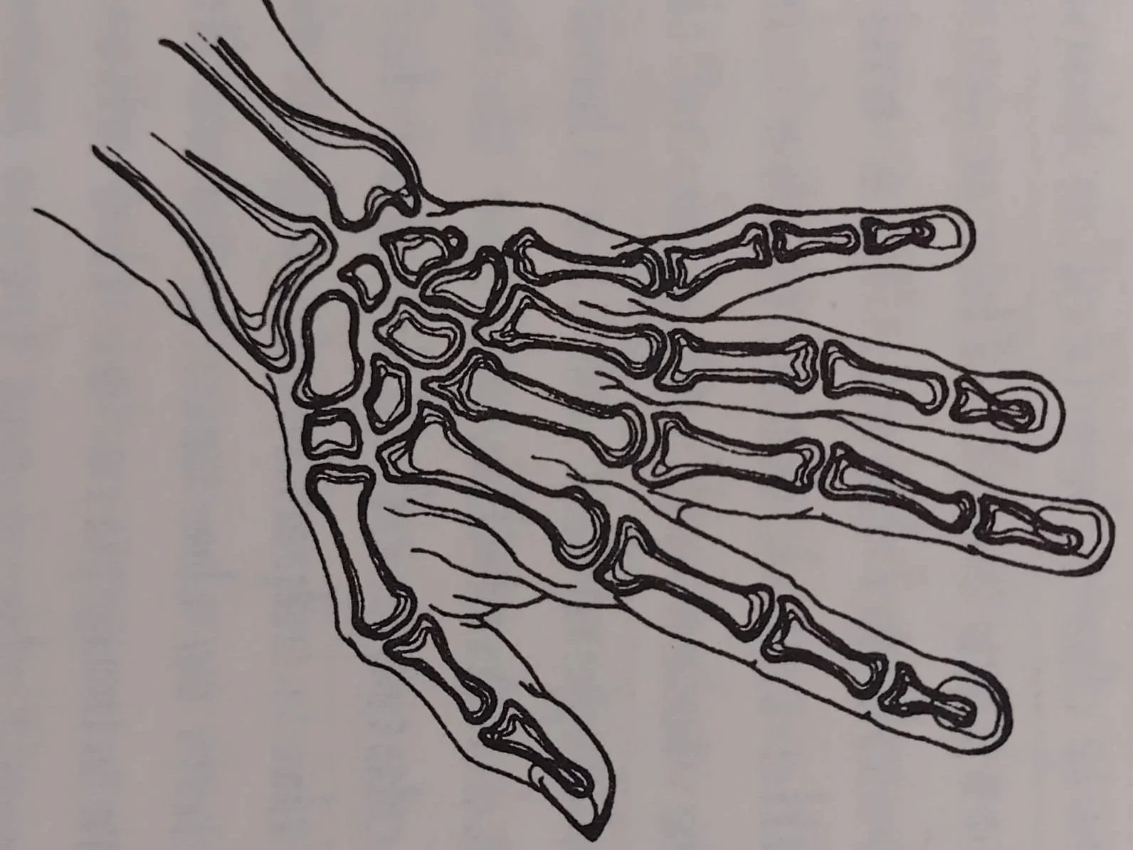 Find your Hands and Wrists: a Functional Mobility Workshop with Daria Ricchi