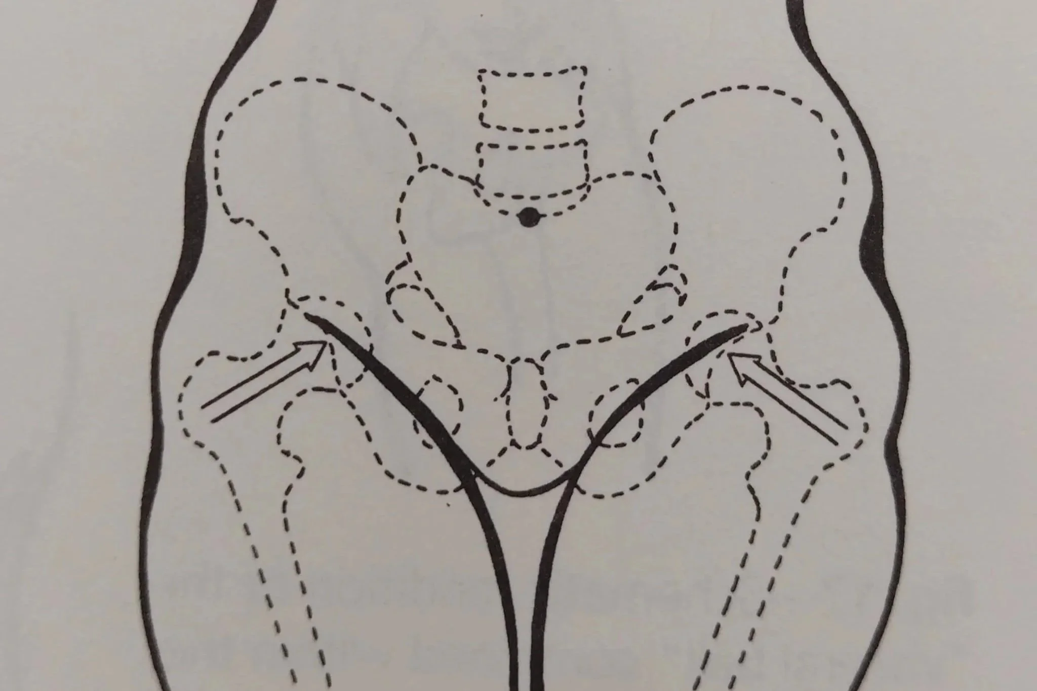 Find Your Centre: A functional Mobility Workshop on the Pelvis and Femur