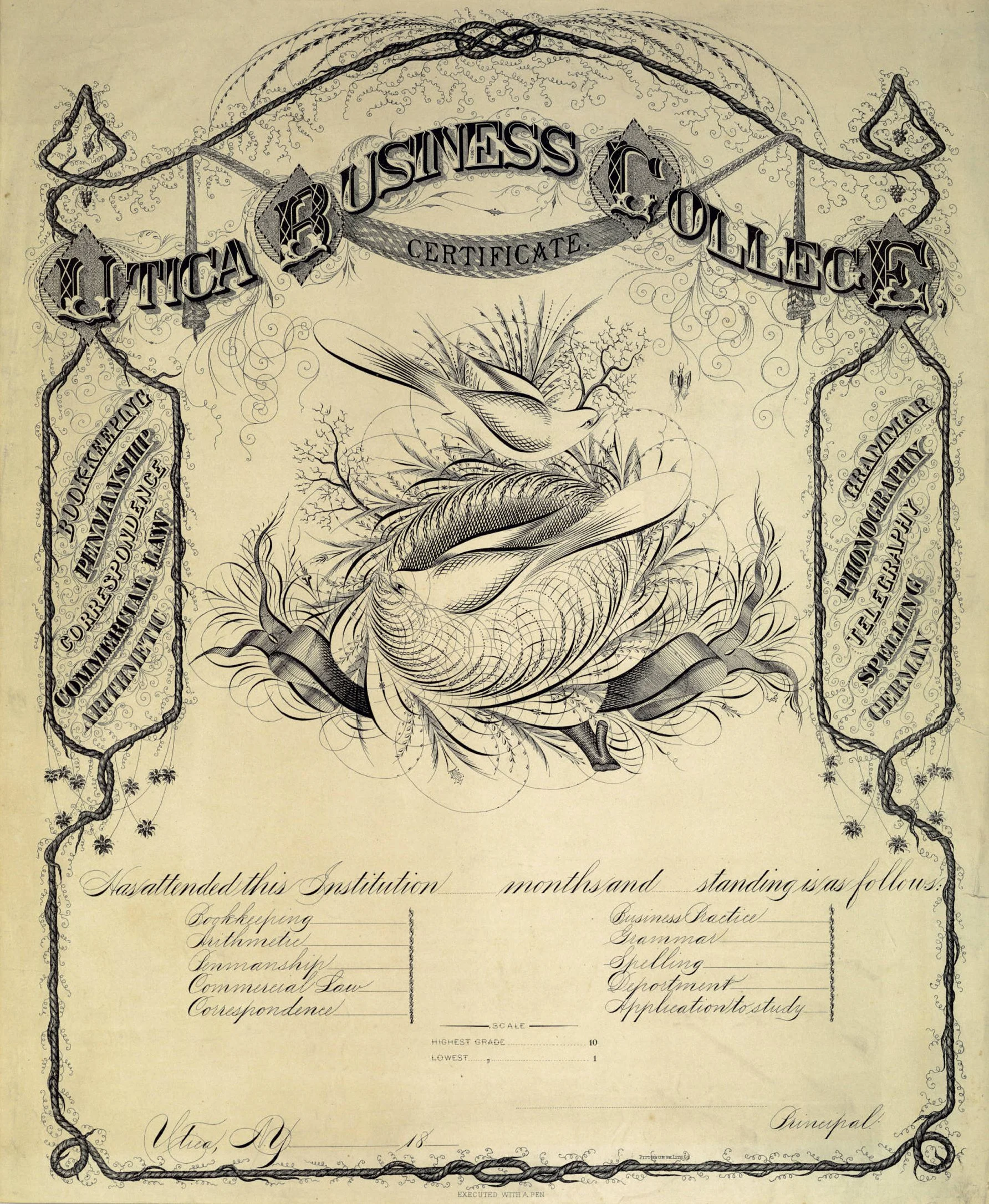 AmesDT UticaBC Diploma.jpg