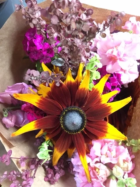 WEDNESDAY MARKET AT AIRPORT HEIGHTS