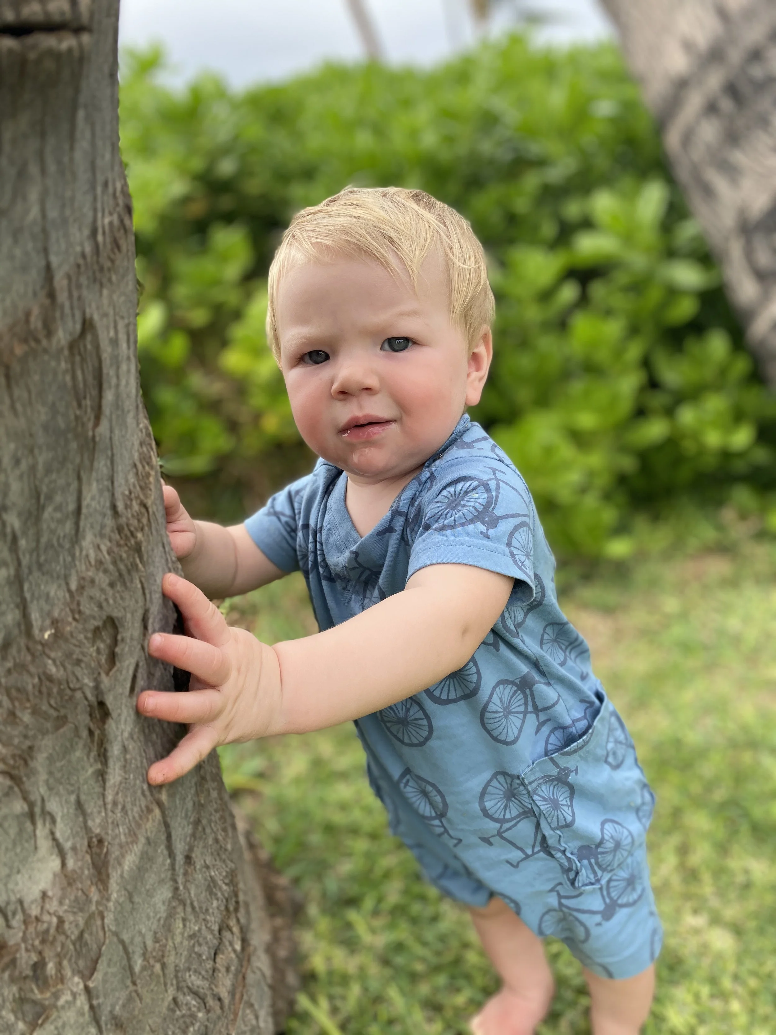 Weeks of 8/8/22-8/14/22