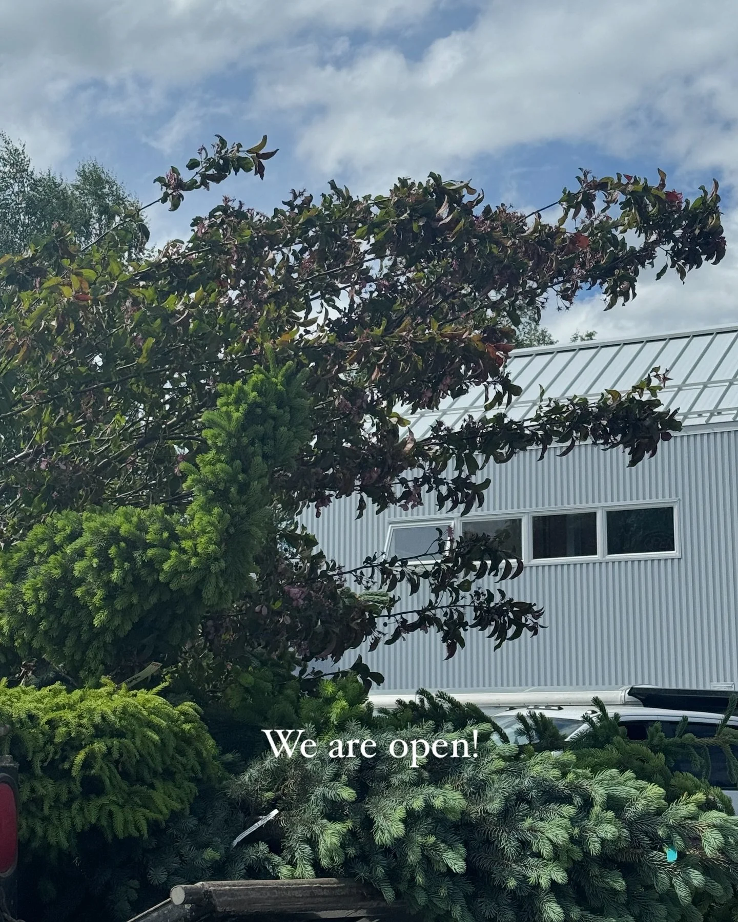 Airport Heights Neighbors! We&rsquo;re transforming our outdoor space into something lush and magical. While our landscaping takes shape please enter through the back entrance. We can&rsquo;t wait to share the new look with you soon!