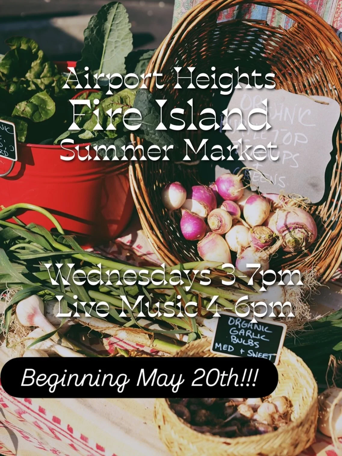 Fire Island Summer Marker is back! Every Wednesday 3-7pm, we will be taking over the property at our Airport Heights location, enjoying live music, playing yard games, and browsing local vendor booths for goodies and treasures! @littlesister.espresso