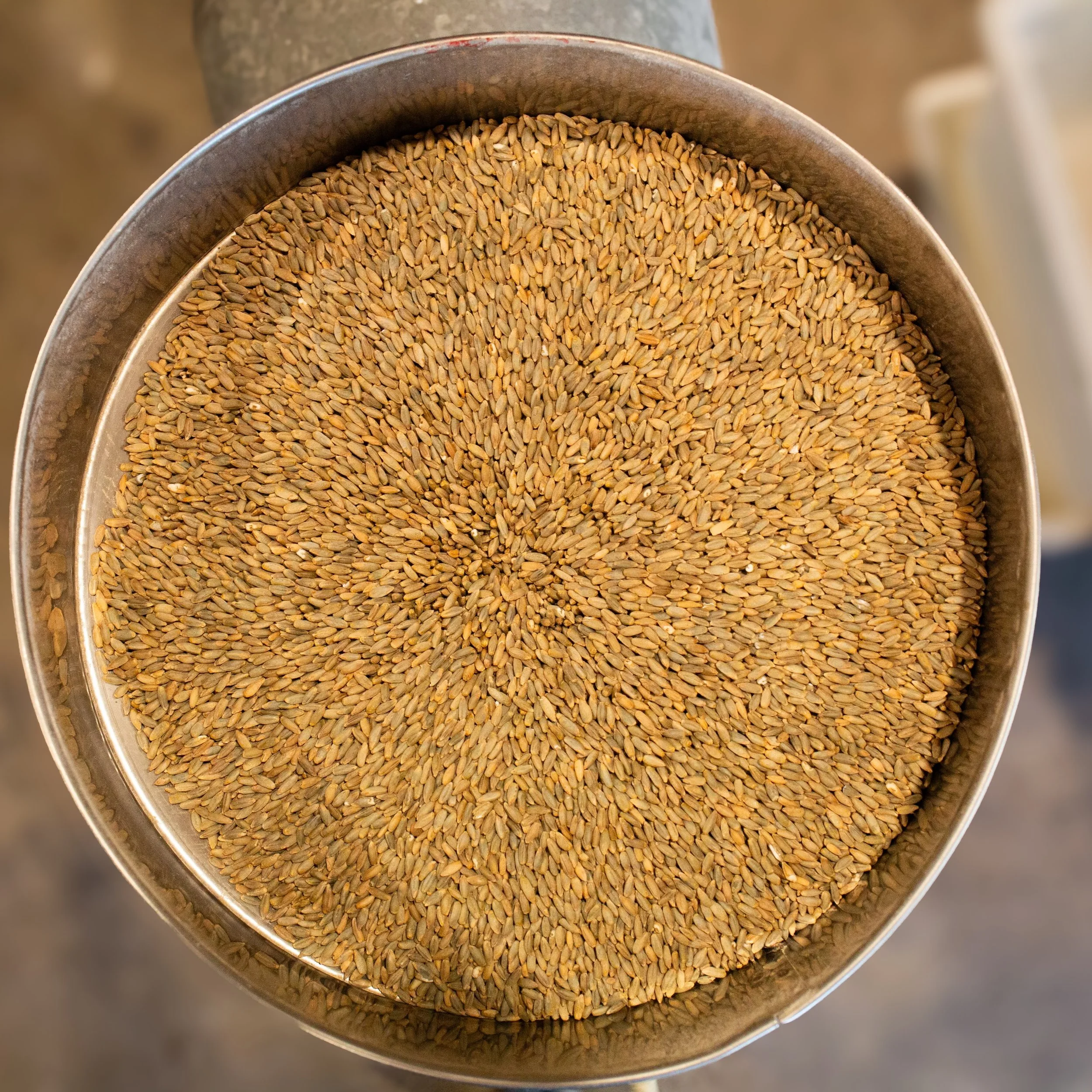 Did you know we mill some of our own flours? For the last few years we have been extremely fortunate to source some amazing grains from @camascountrymill that our bakers mill fresh throughout the week. 

You&rsquo;ll find fresh milled organic flours 